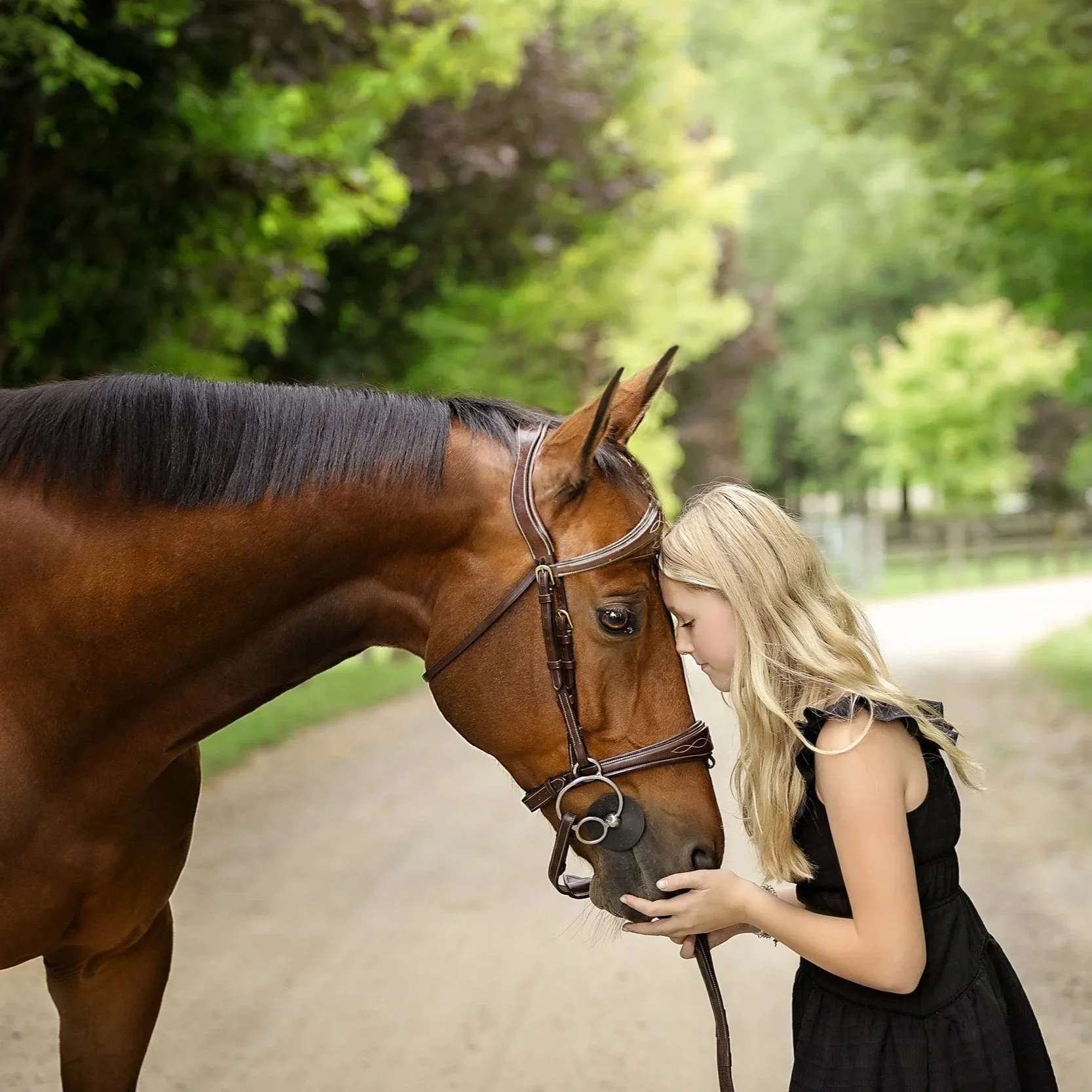 Waterloo equestrian sunset session with daughter and horse — Golden‑hour silhouette capturing a peaceful bond at dusk.