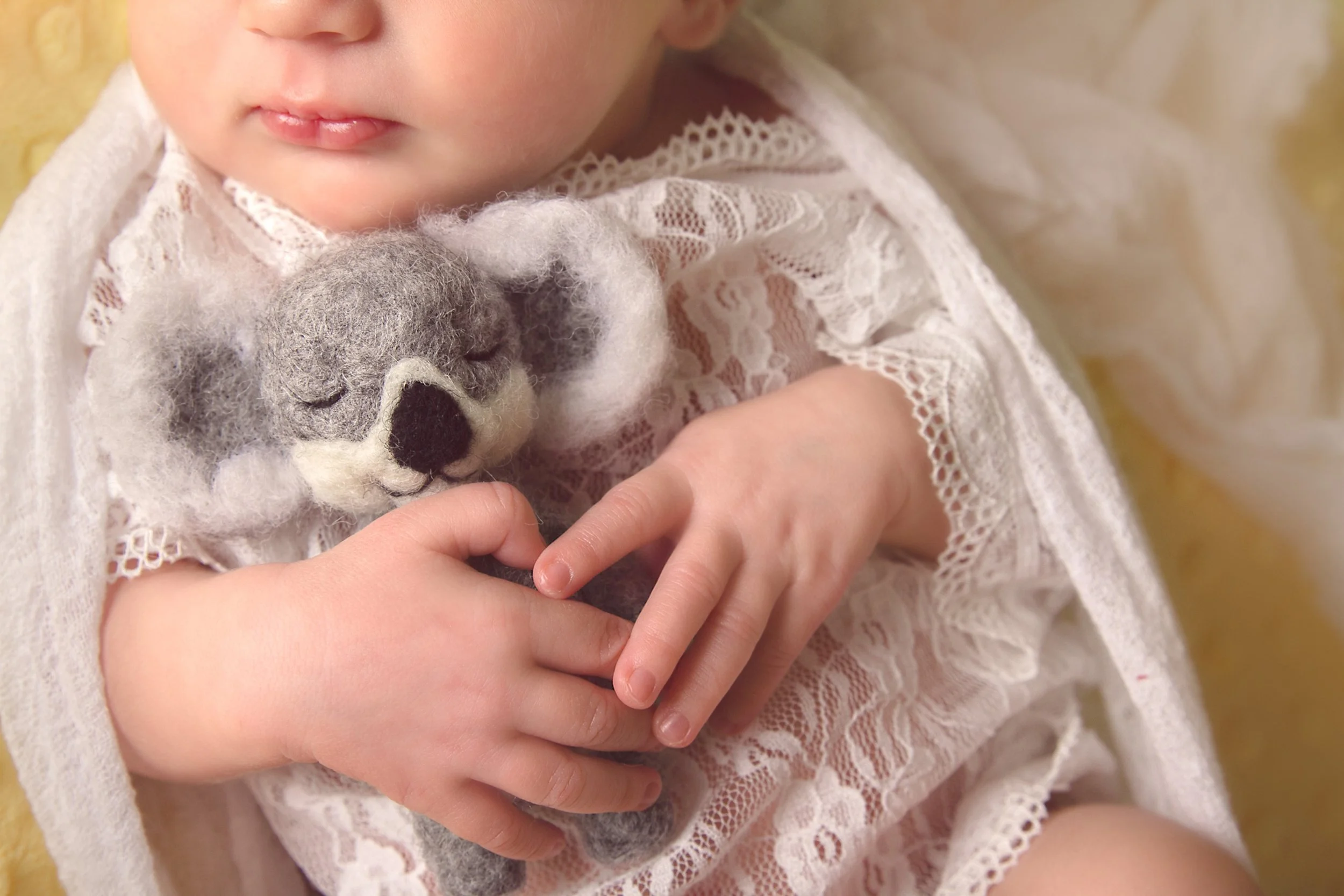 Southern Ontario newborn photography session with baby girl and koala — Sweet, calm moment highlighting delicate newborn details.