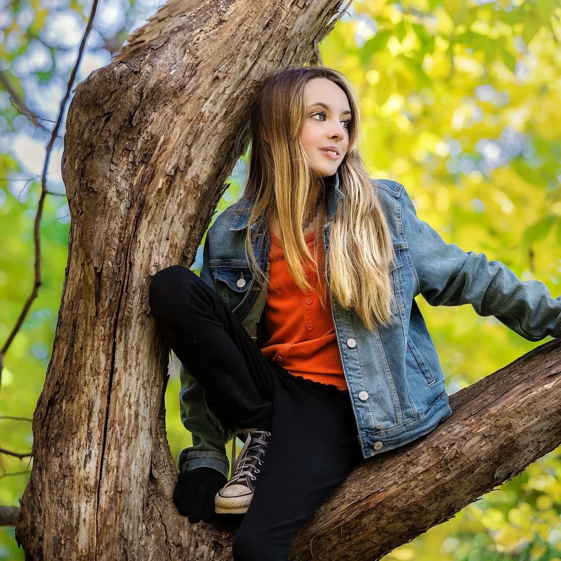 Steckle Woods Ontario fall fine art portrait of girl in tree — Warm, storybook‑style composition highlighting a girl nestled among autumn branches.