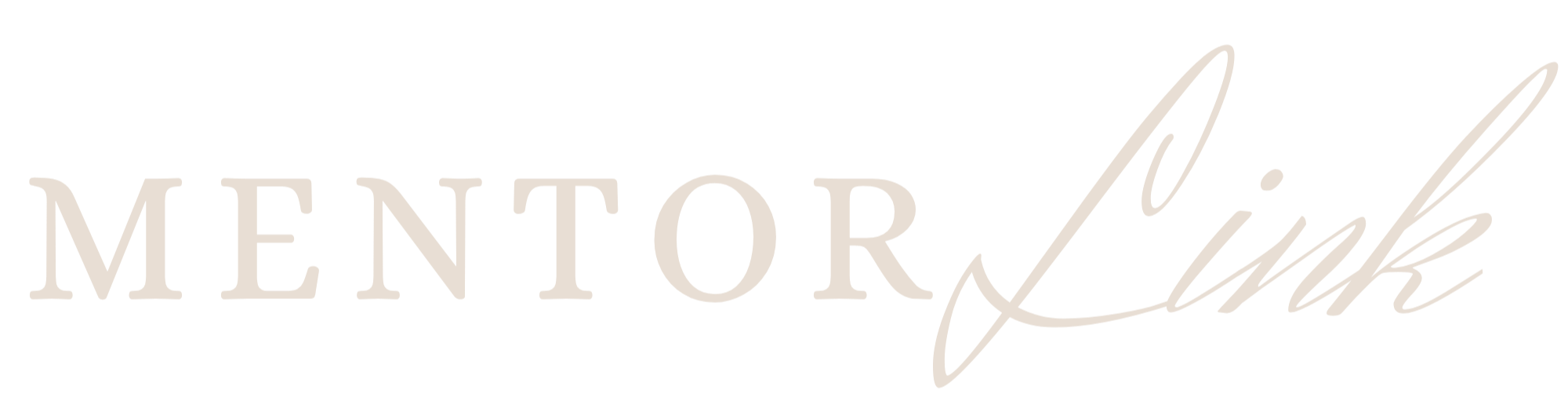MentorLink logo with the words 'Mentor Link' in stylized text.