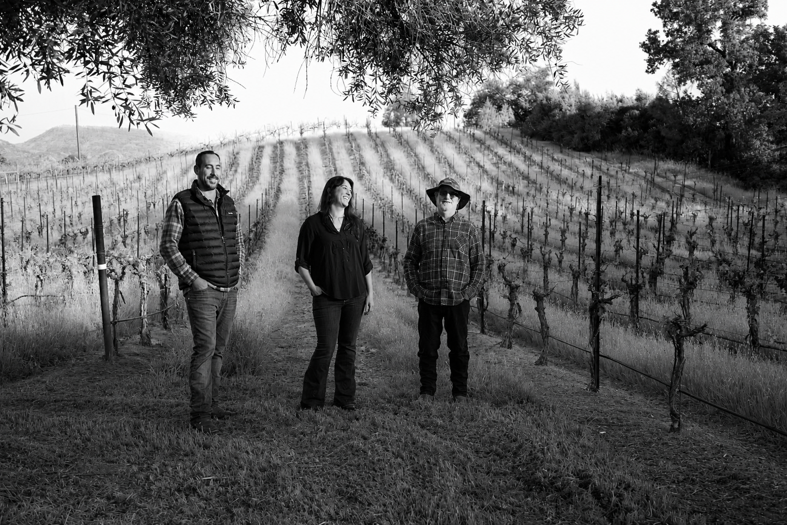 Three people standing in a vineyard with rows of grapevines, trees, and hills in the background, under a tree canopy.
