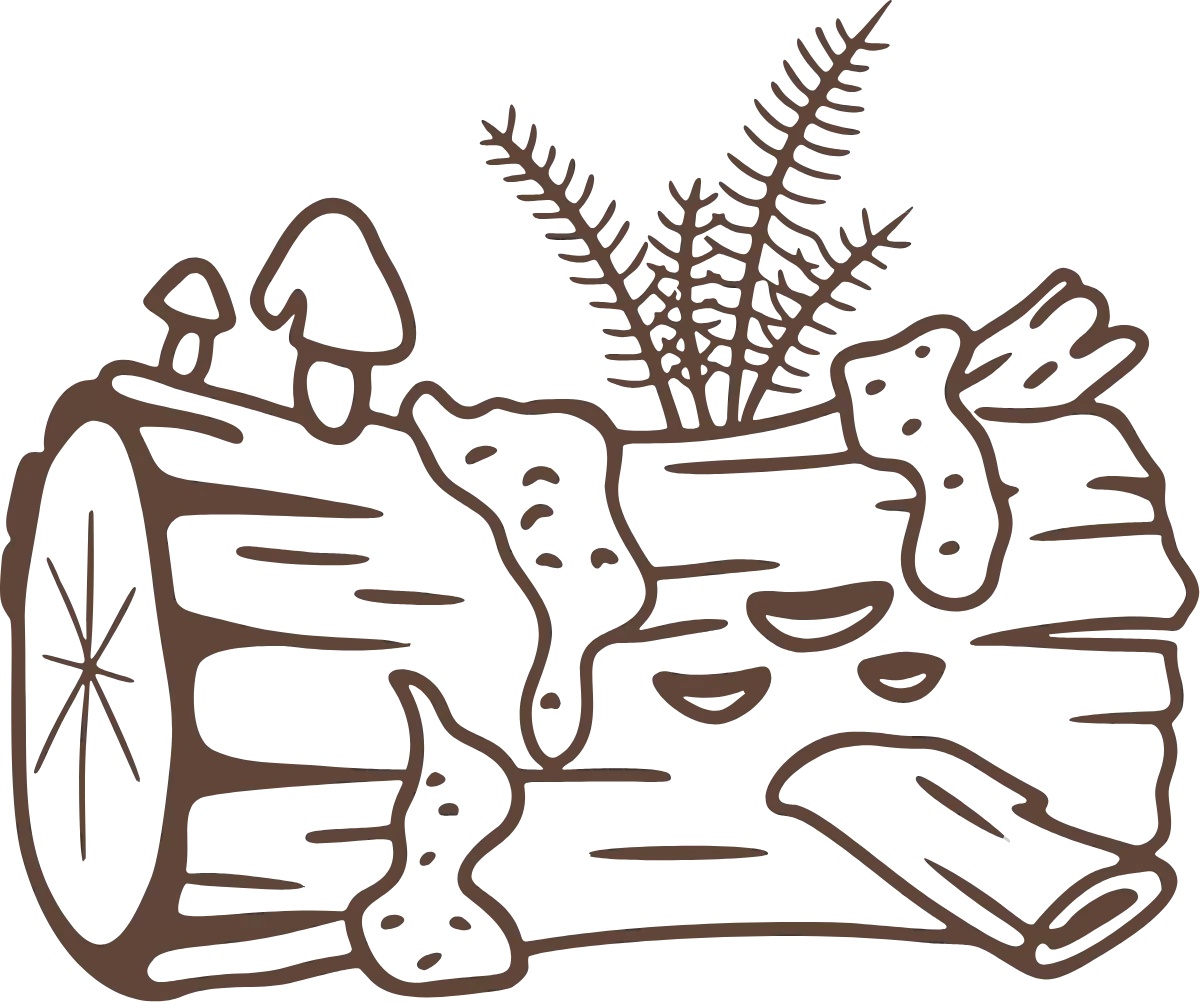 A nurse log.