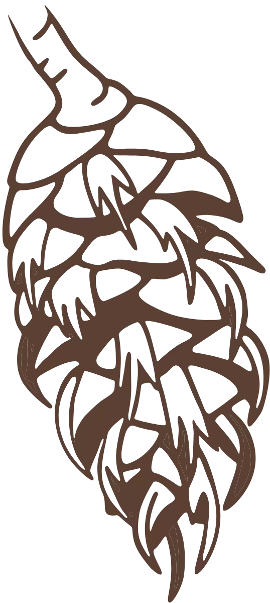 Outline drawing of a fir cone.