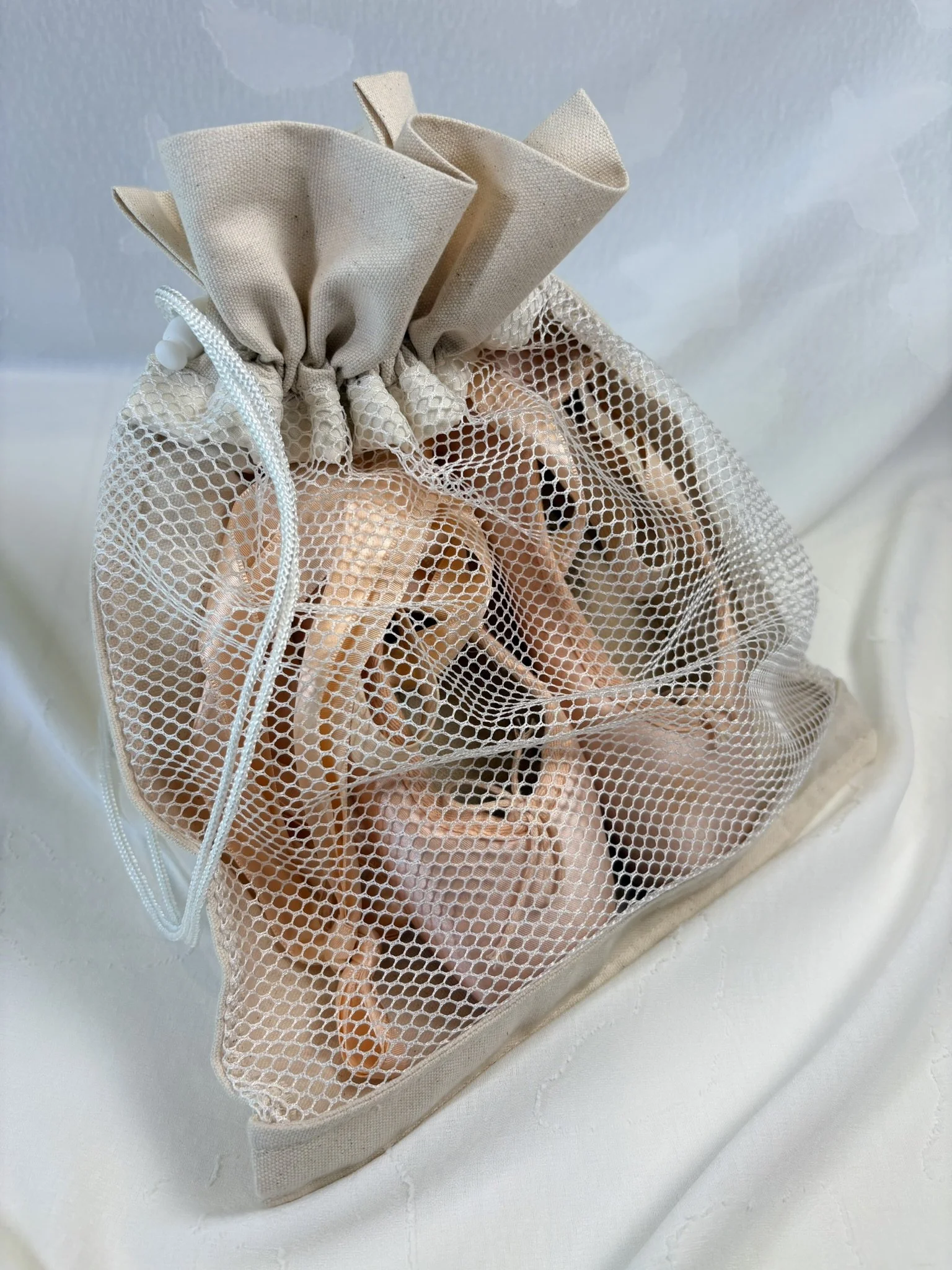 Ballet Shoe Bag back.JPEG