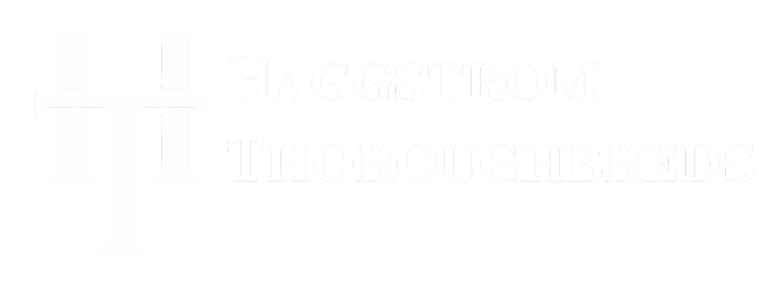 Haggstrom Thoroughbreds