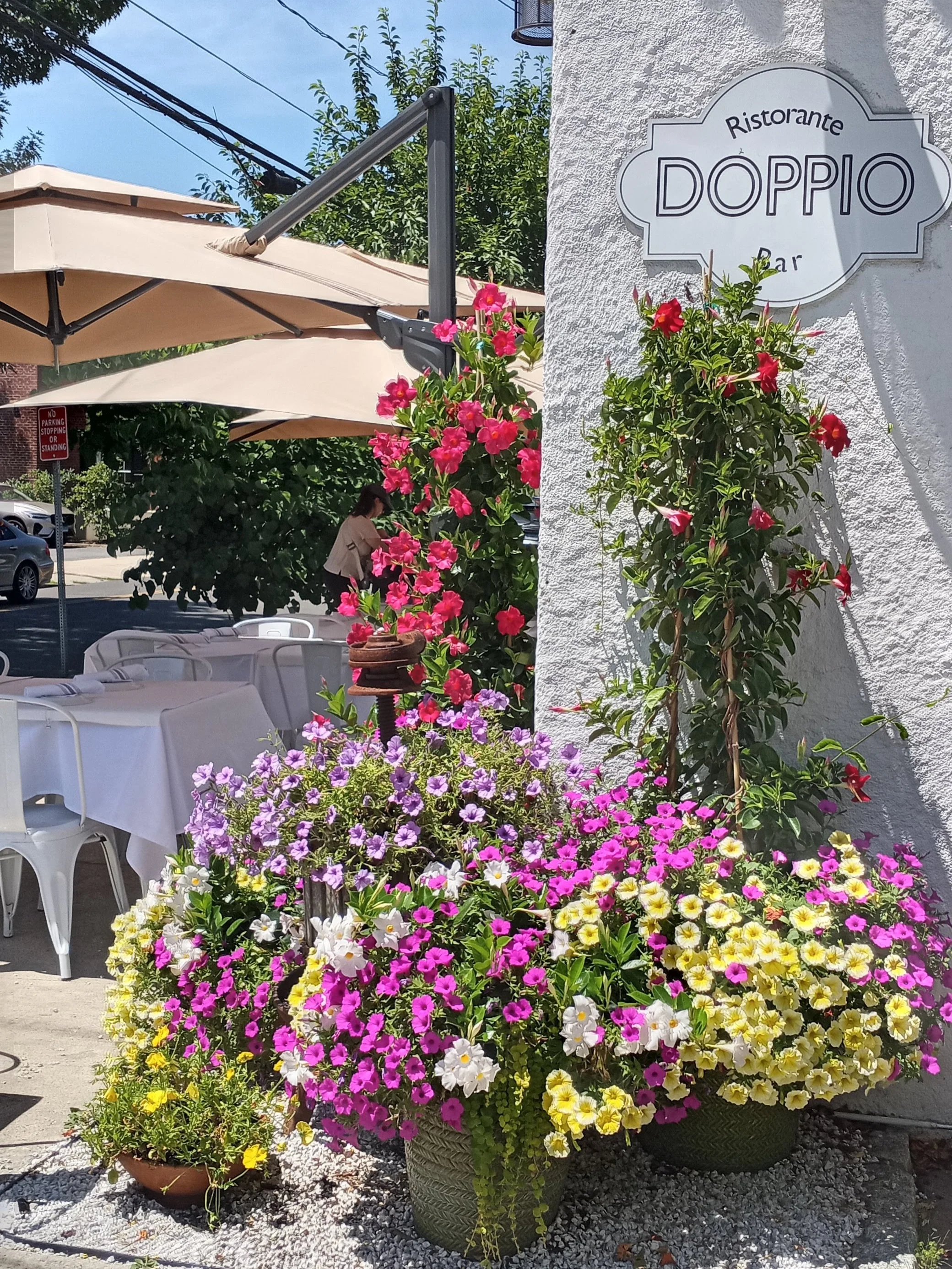 🌿 Certificate of Merit:  Tastefully Inviting | Loretta Barresi, Doppio Restaurant

A warm welcome begins before you even step inside Doppio Restaurant.

🤍 At the corner of East Elm and Mason streets, lush greenery and tall white mandevilla vines cr