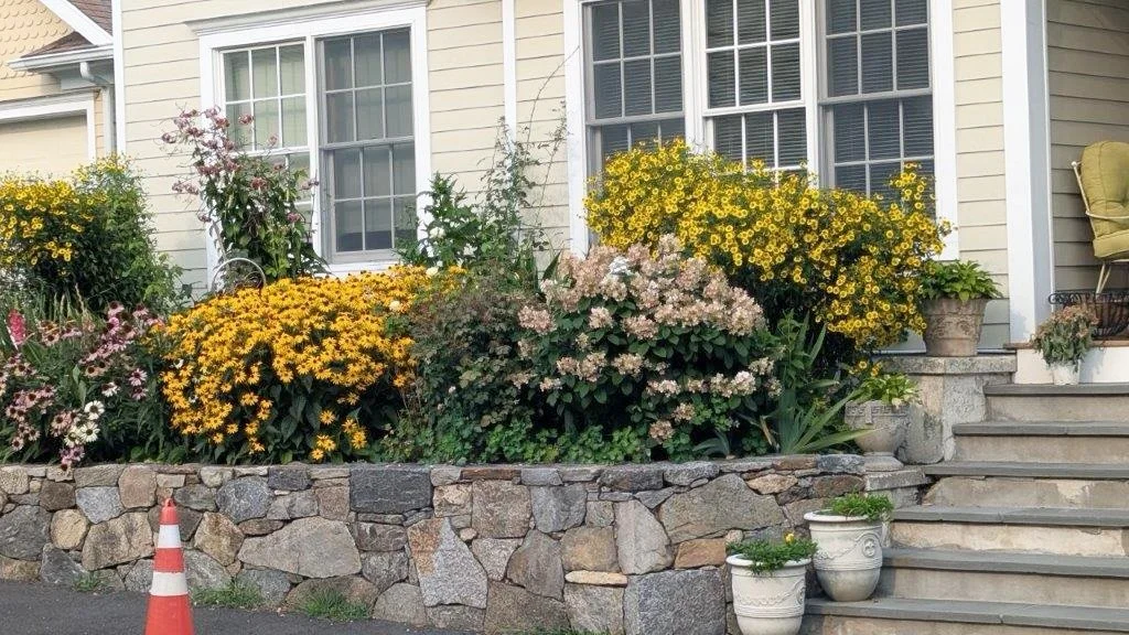 🌸Certificate of Merrit: Cheerful Corner | Nolda Joseph

A welcoming garden can brighten an entire neighborhood&mdash;and Nolda Joseph&rsquo;s corner in Chickahominy does just that.

🌿 Just off Hamilton Avenue, colorful hydrangeas and black-eyed Sus