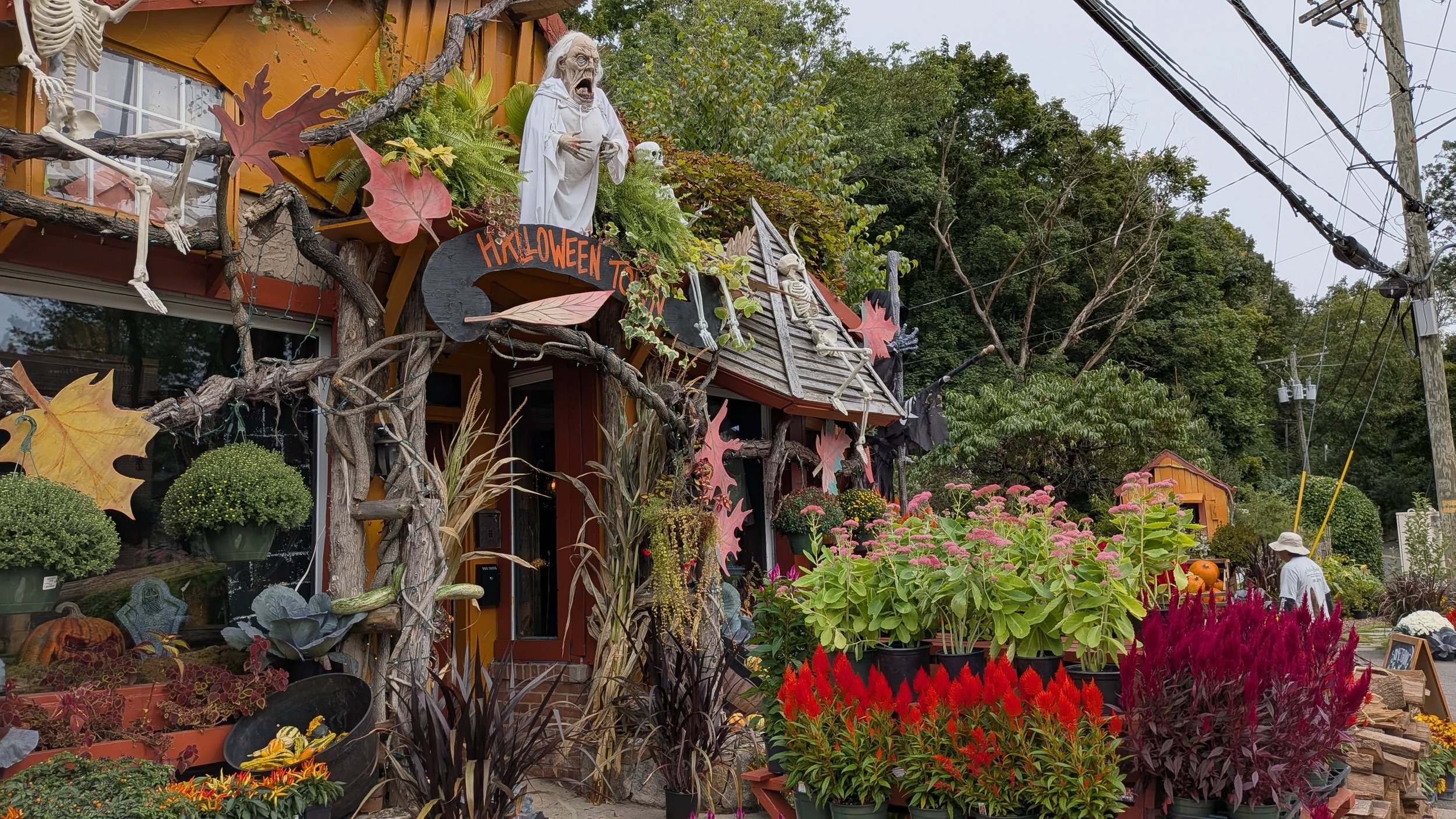 🎃🧡Certificate of Merit: Spooktacular Storefront | Derek D&rsquo;Andrea, Arch in Bloom
 ✨ Merit Award
A little unexpected, wonderfully imaginative, and always worth a look&mdash;Arch in Bloom brings smiles to Pemberwick Road all year long.

🤎 Derek