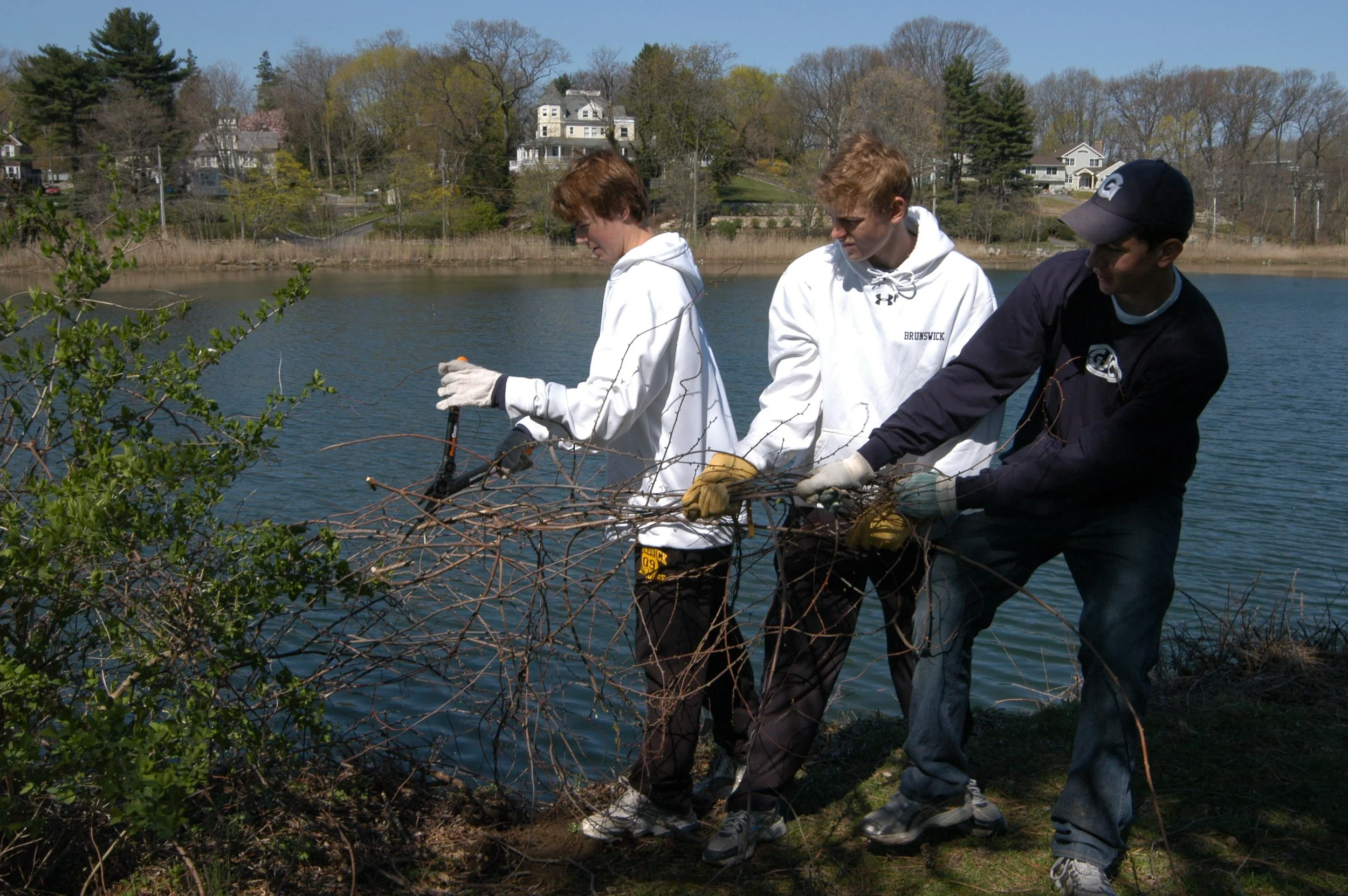 Brunswick students remove invasive plants at Roger Sherman Baldwin Park, helping protect native habitat and care for a shared public space.