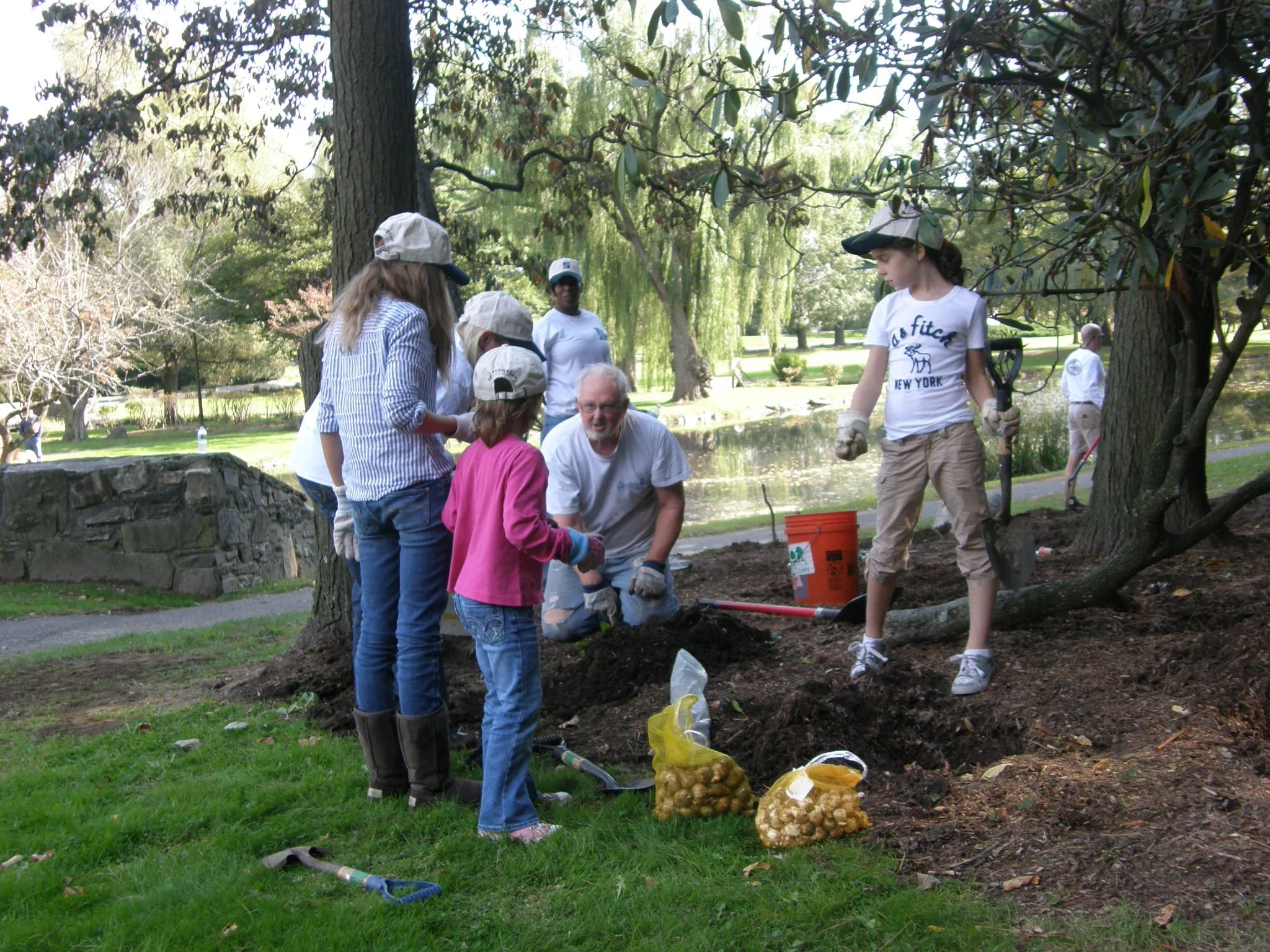 Students and community volunteers plant daffodil bulbs together at Binney Park, combining hands-on learning with seasonal beautification.