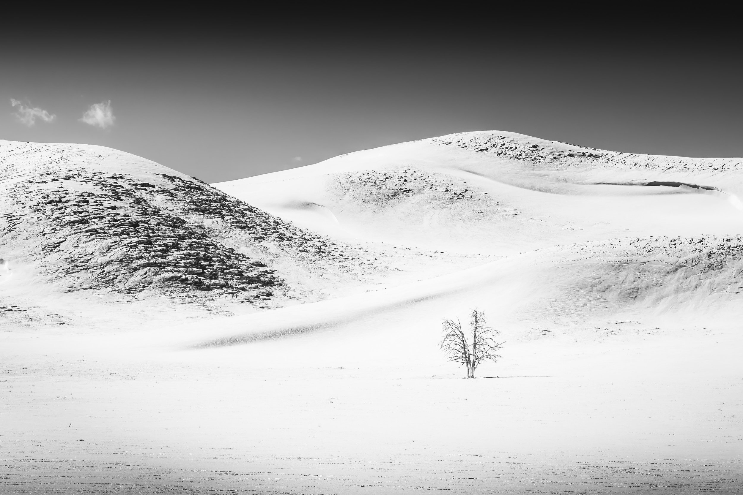 Black and white photo of snow-covered hills with a lone tree in the foreground