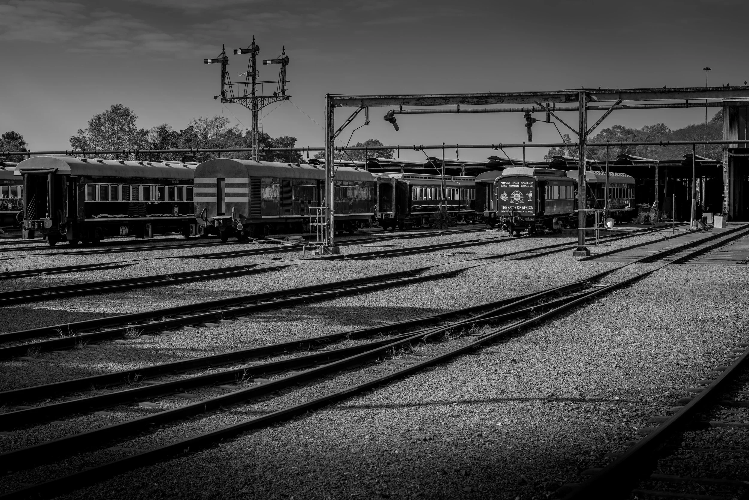 Black and white photo of an old train yard with multiple trains on tracks, overhead wires, and trees in the background.