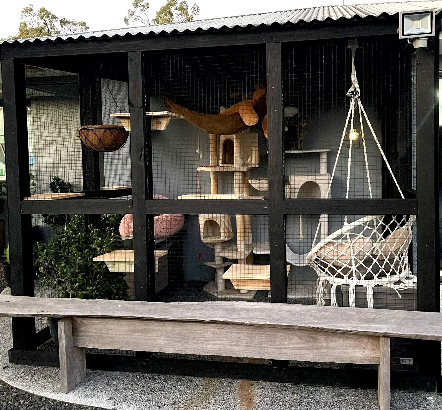 Cat Enclosure