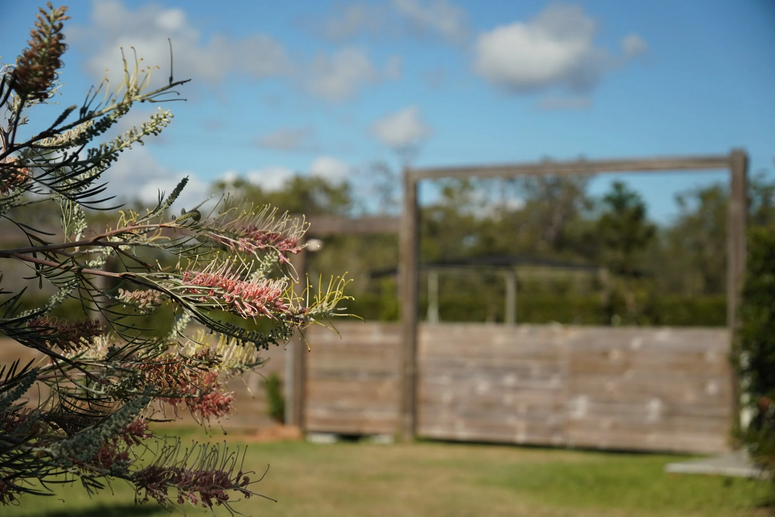 Outdoor Timber Fence Gate