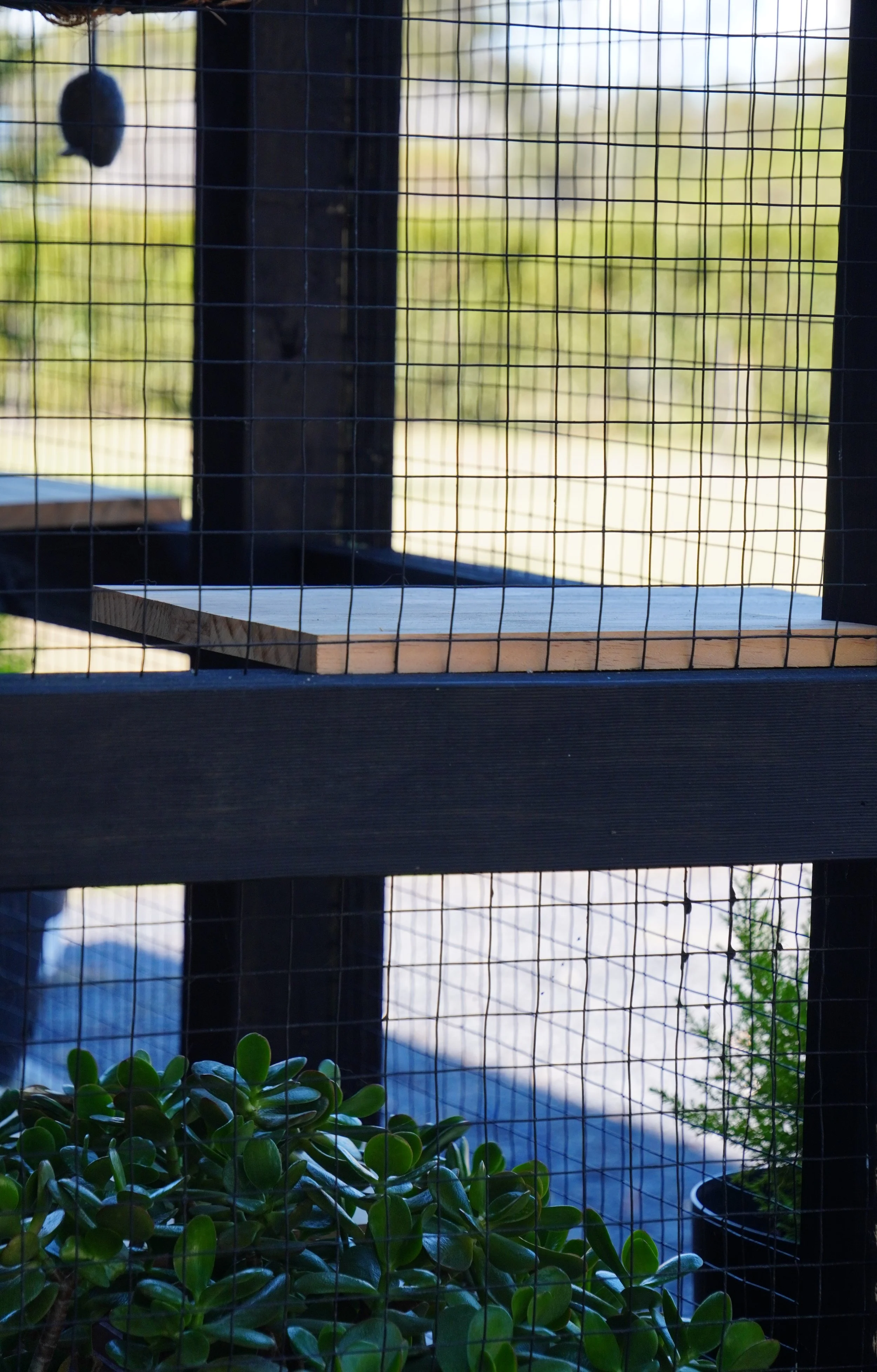 Cat Enclosure