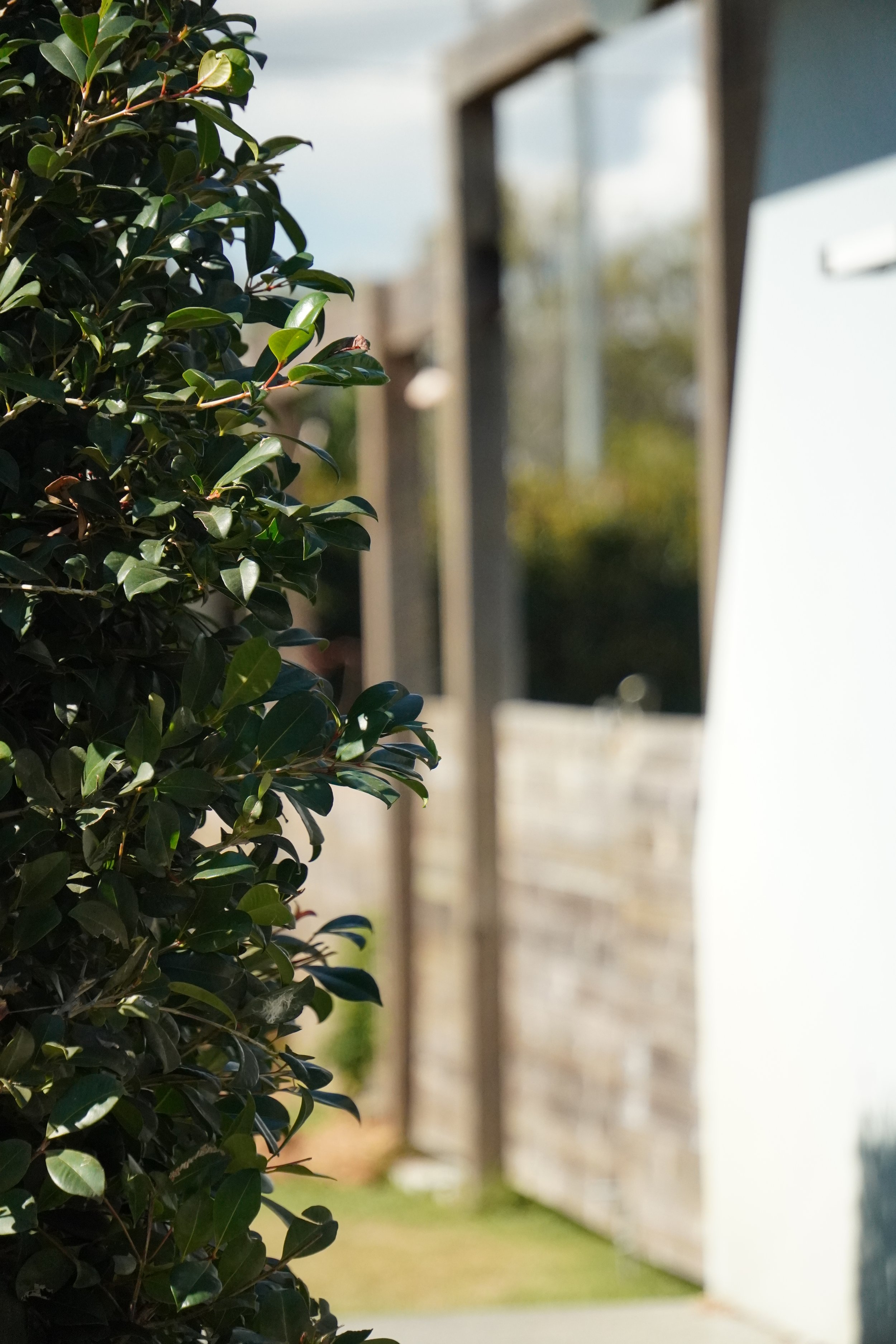 Outdoor Timber Fence Gate