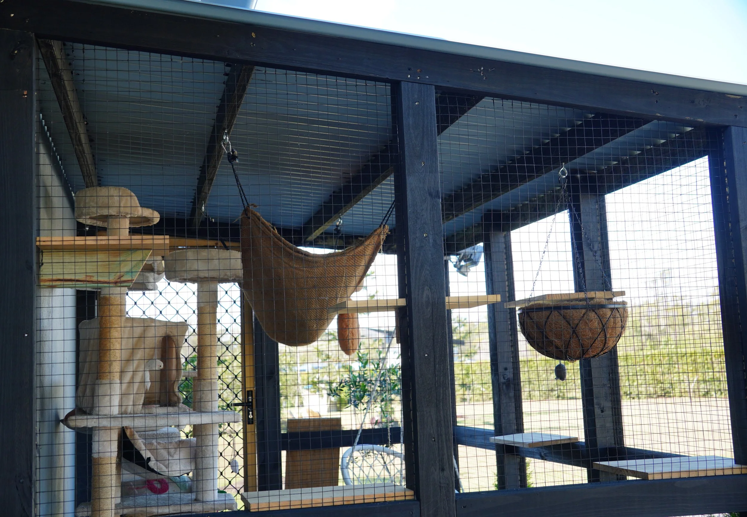 Cat Enclosure