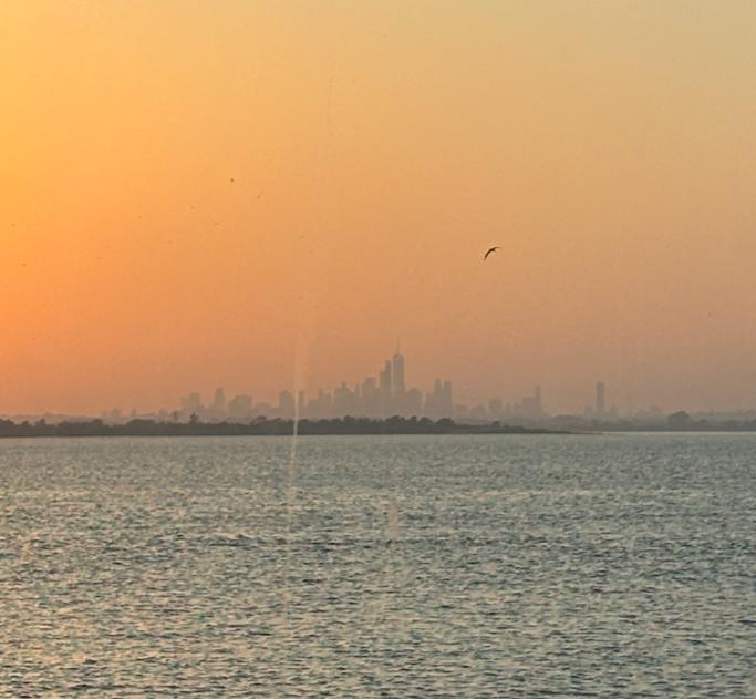 Sunset over a body of water with a city skyline in the distance and a bird flying in the sky.
