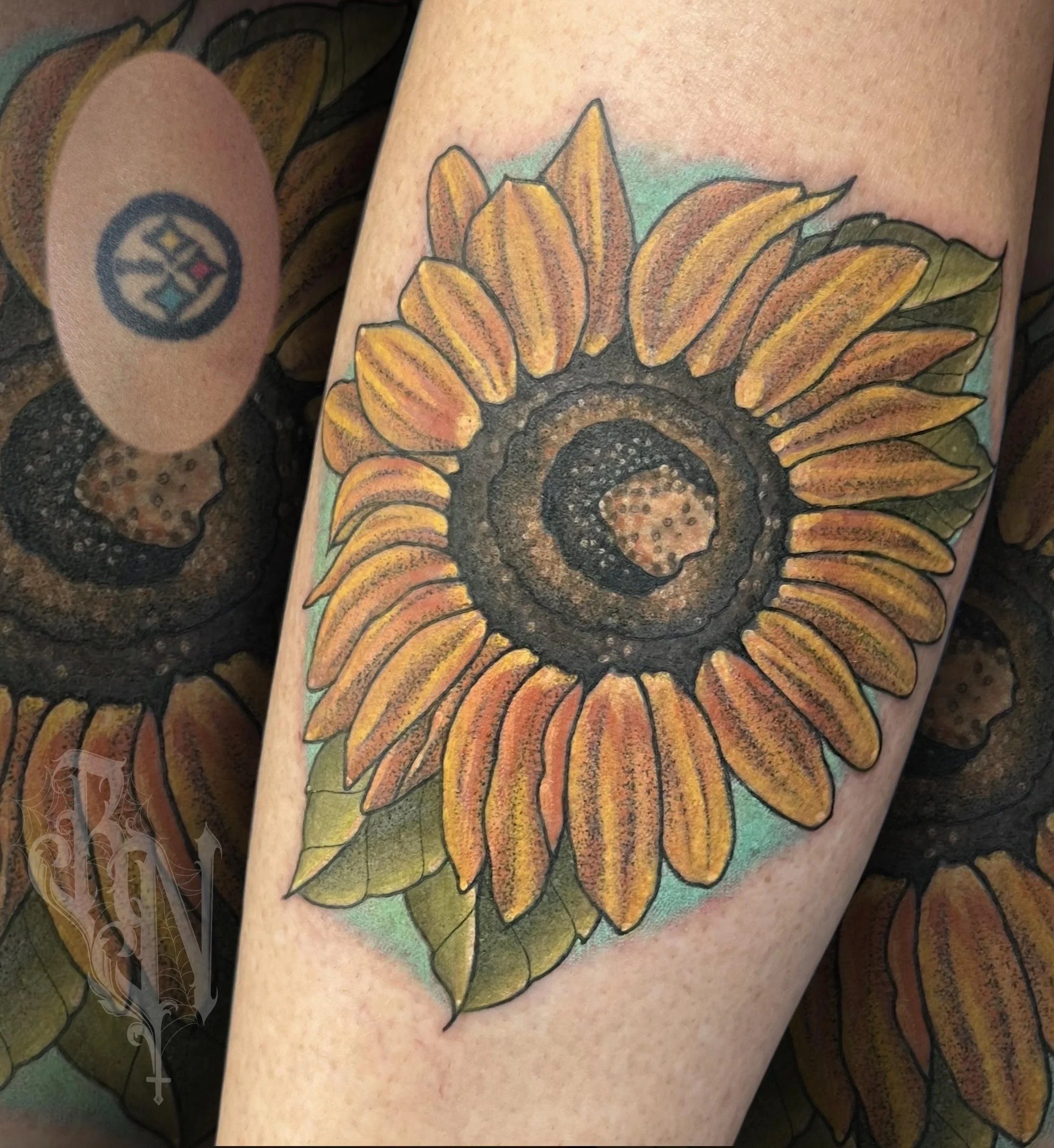 steeler coverup.jpg