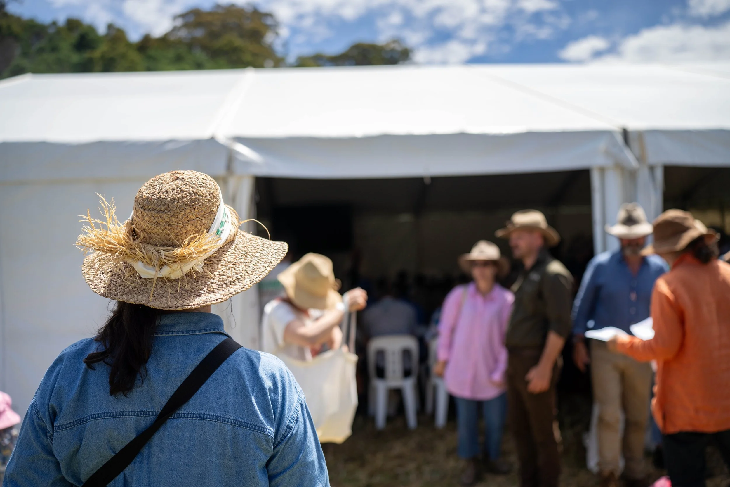 A person wearing a straw hat and denim jacket, seen from behind, looking at a group of people gathered outdoors near a white tent, with trees and blue sky in the background.
