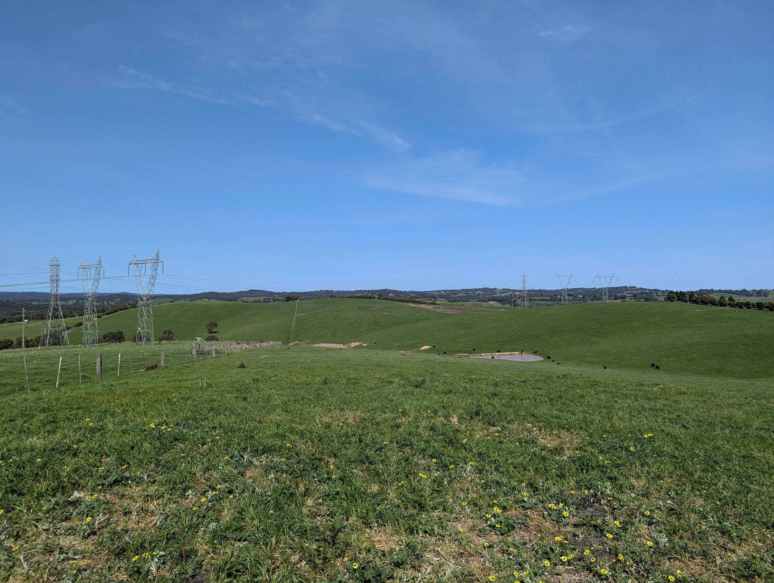 Site looking south with the existing transmission lines in the background
