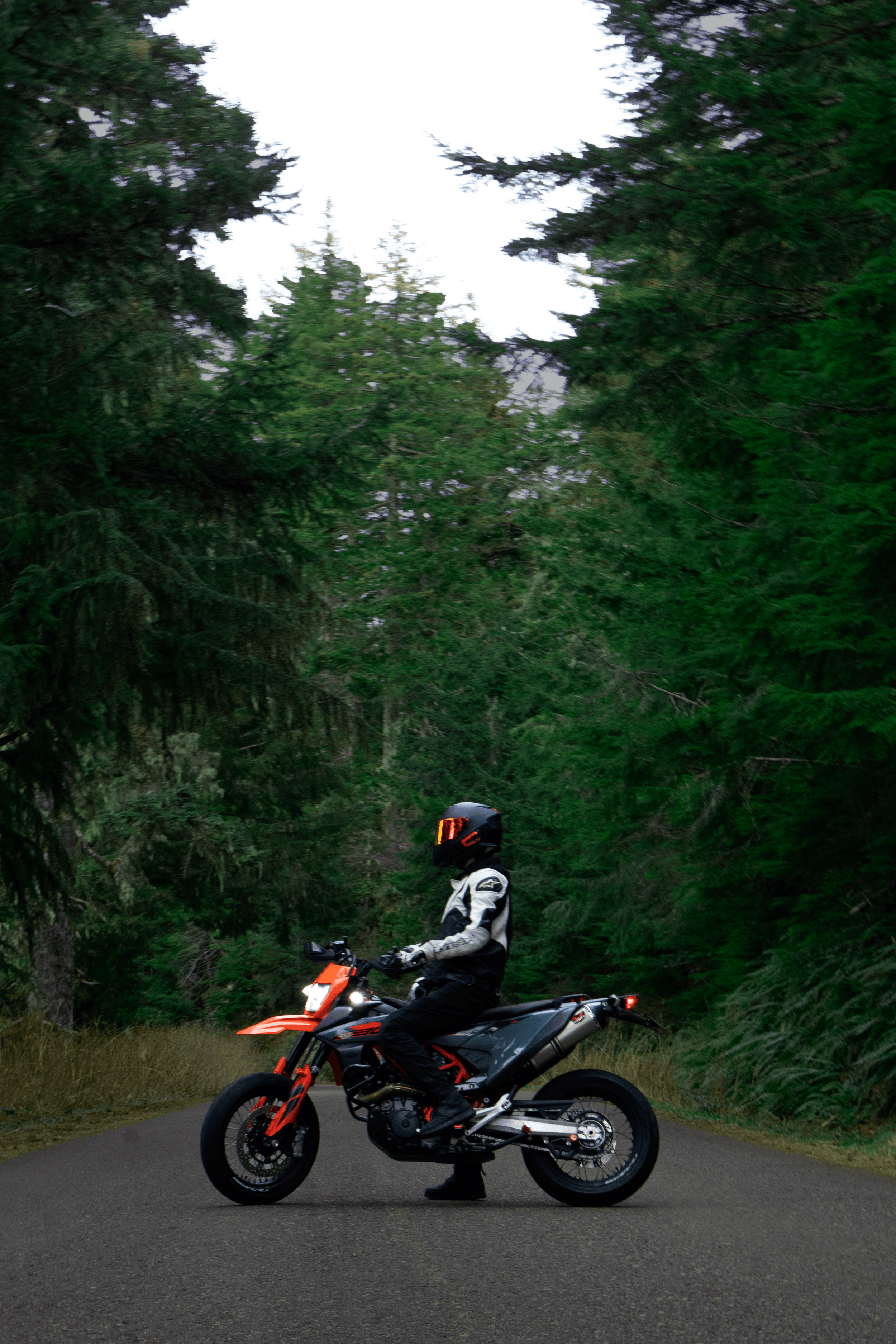 Road Forest 690 Owen.png