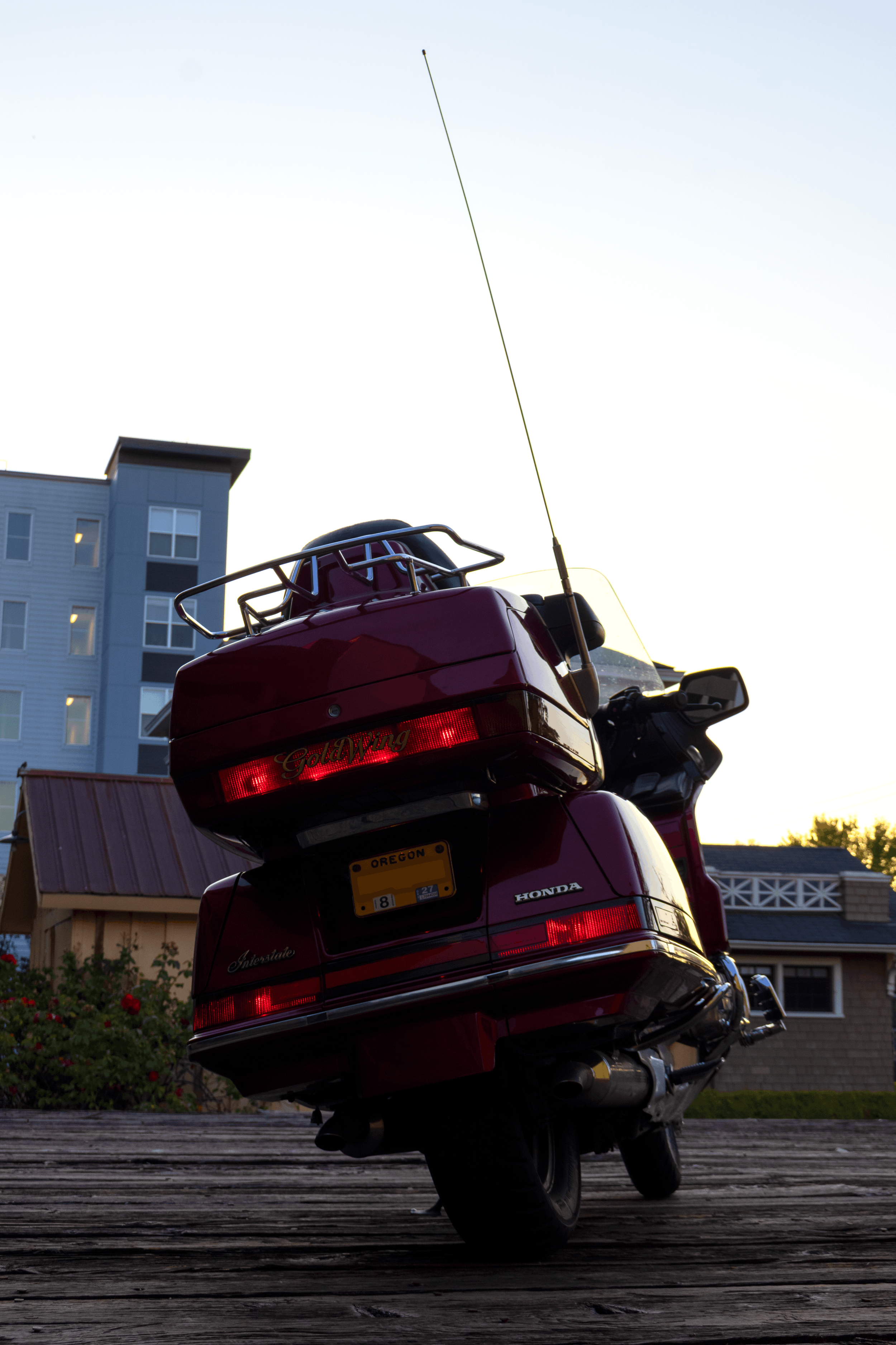 Goldwing Vertical Rear 1.png