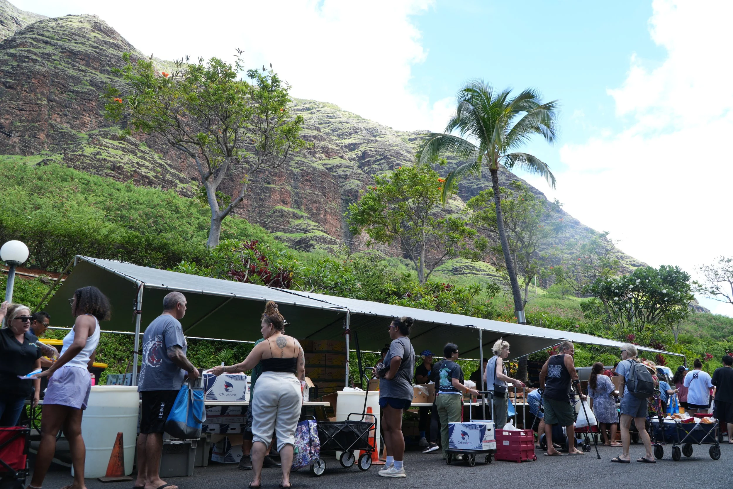 Hawaii News Now: Hundreds at Makaha Valley Towers endure four-day outage: ‘I probably would have been dead’
