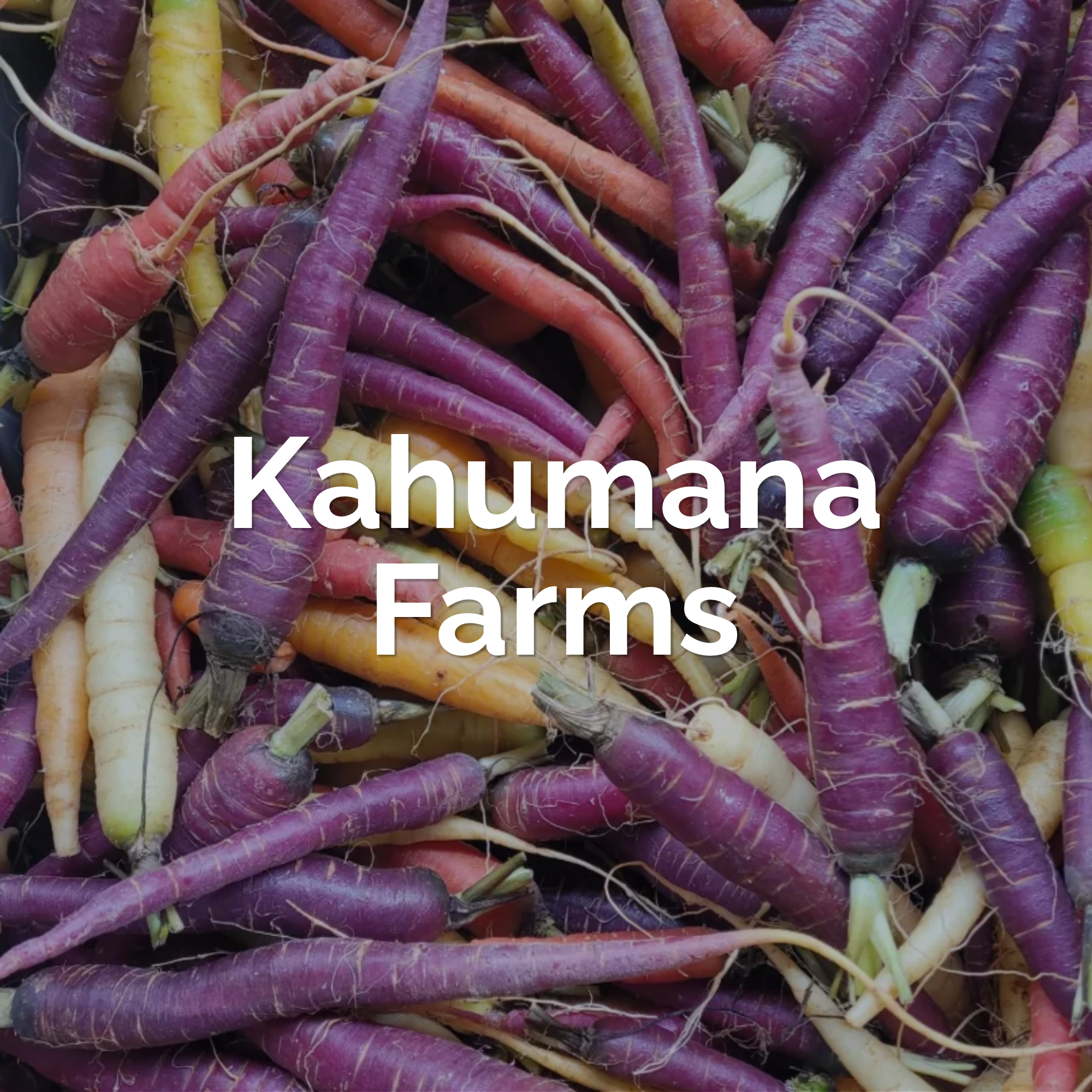 Carrots from Kahumana Farms