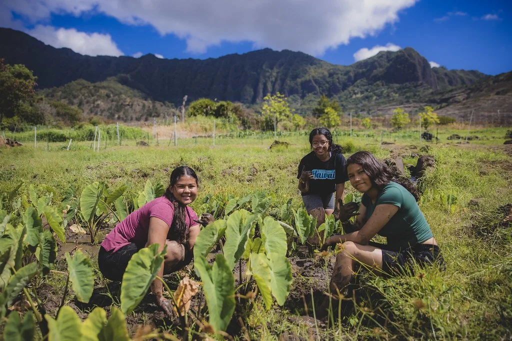 day-1-mauka-4_55343678234_l.jpg