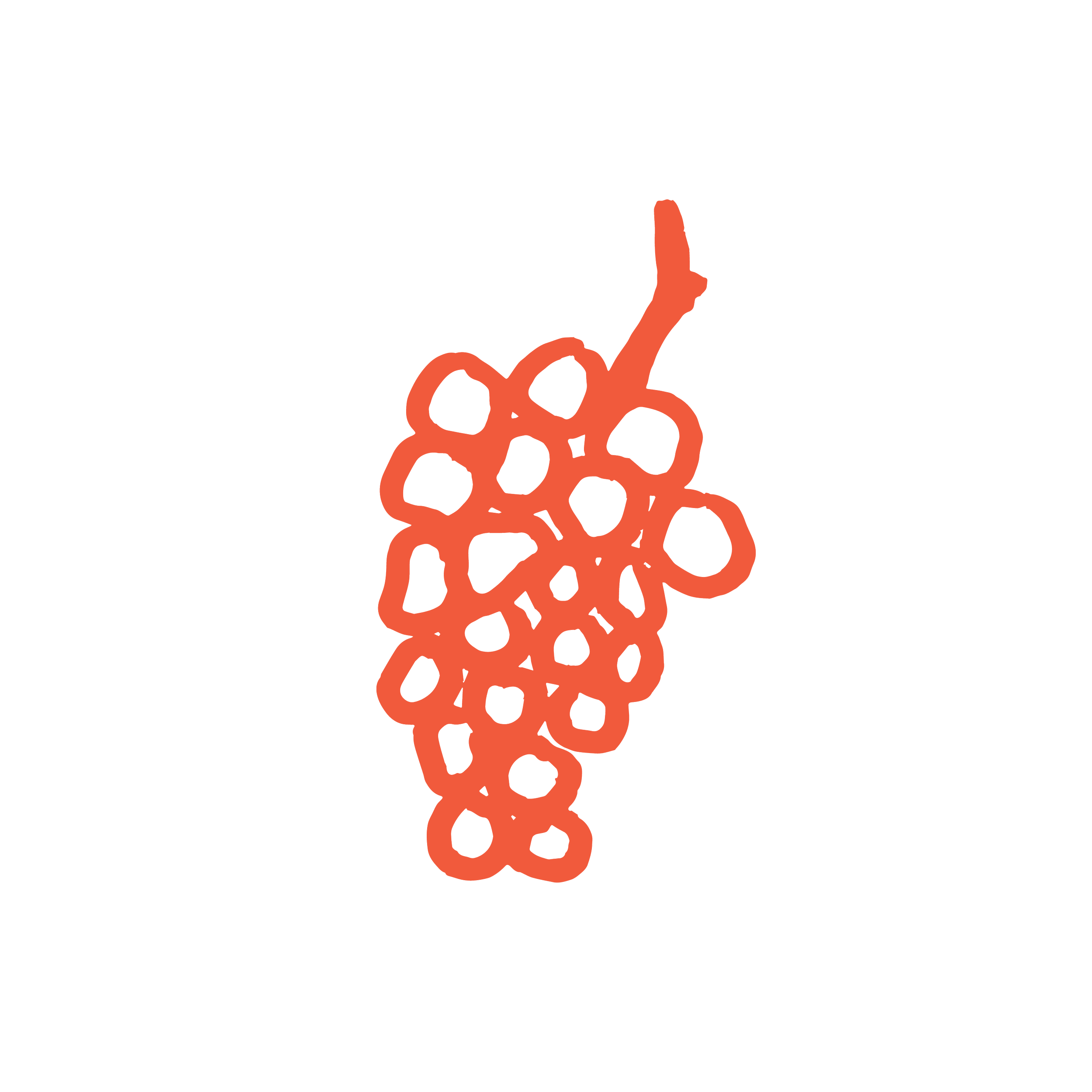 An orange line drawing of a cluster of grapes with a single grape stalk appearing at the top.