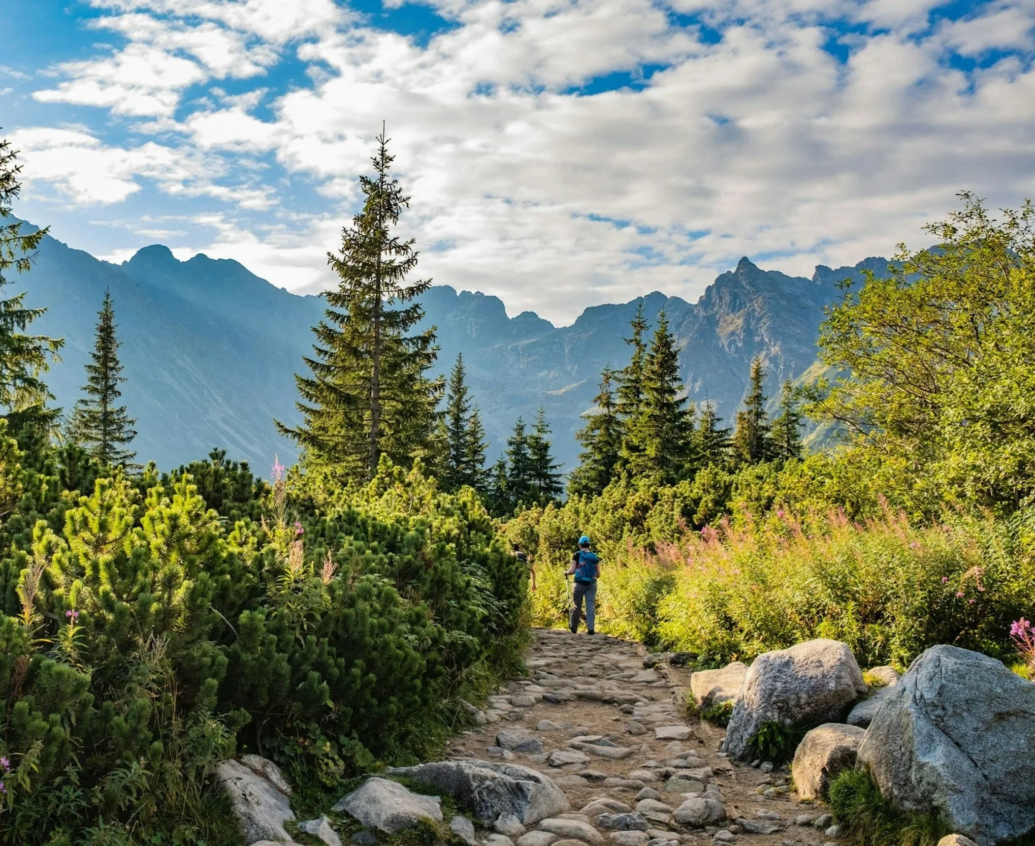 Hiker walking along a rocky trail surrounded by lush green bushes and trees, with mountain peaks and a partly cloudy sky in the background.