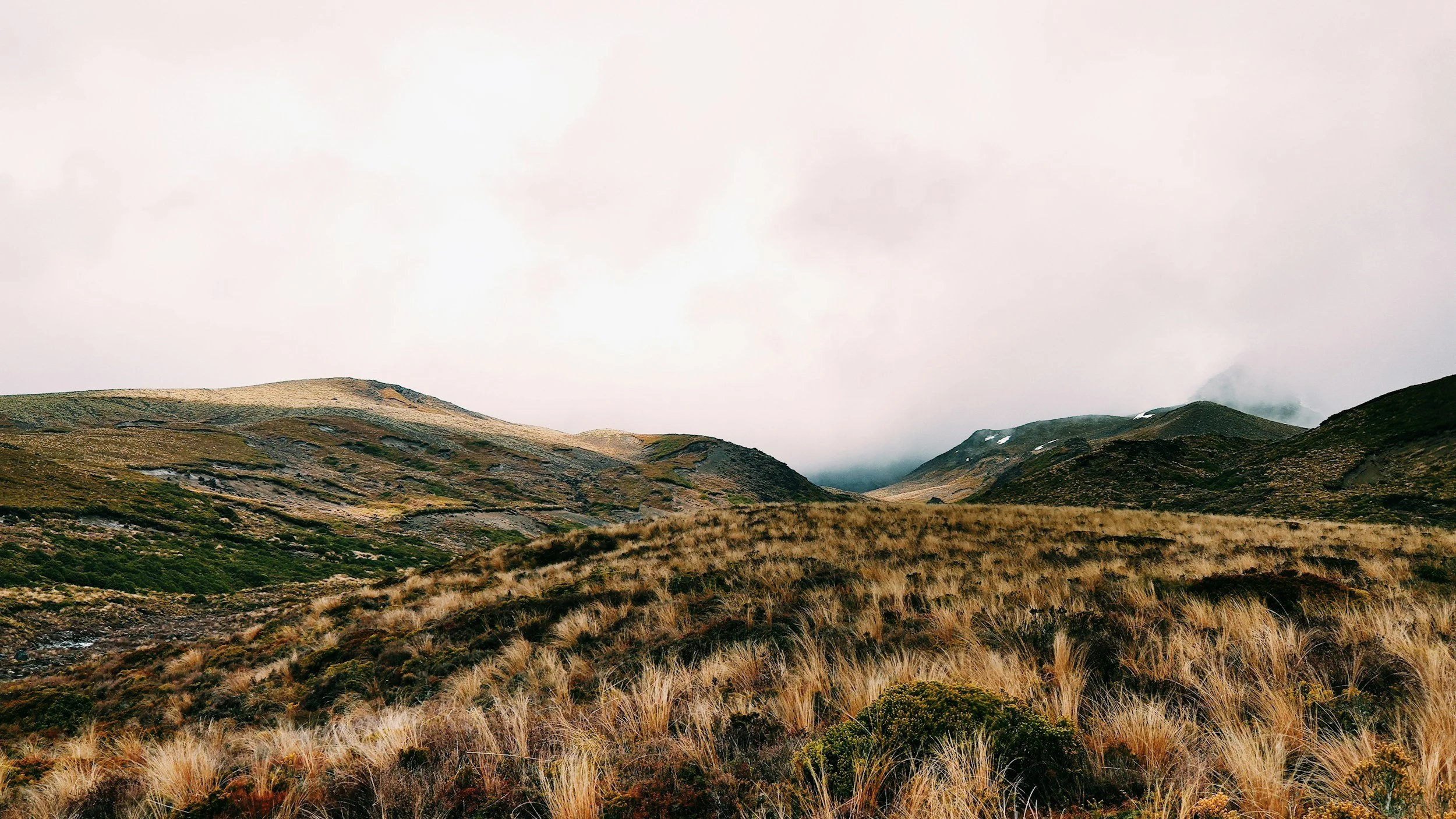 A landscape of rolling hills covered in grass and sparse bushes under an overcast sky with clouds.