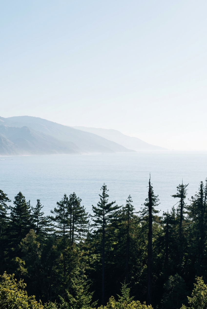 A scenic view of a forest with tall pine trees in the foreground, a large body of water beyond, and mountain ranges in the background under a clear sky.