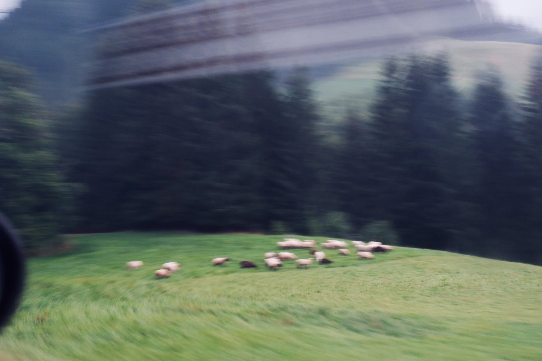 dolomites.jpg