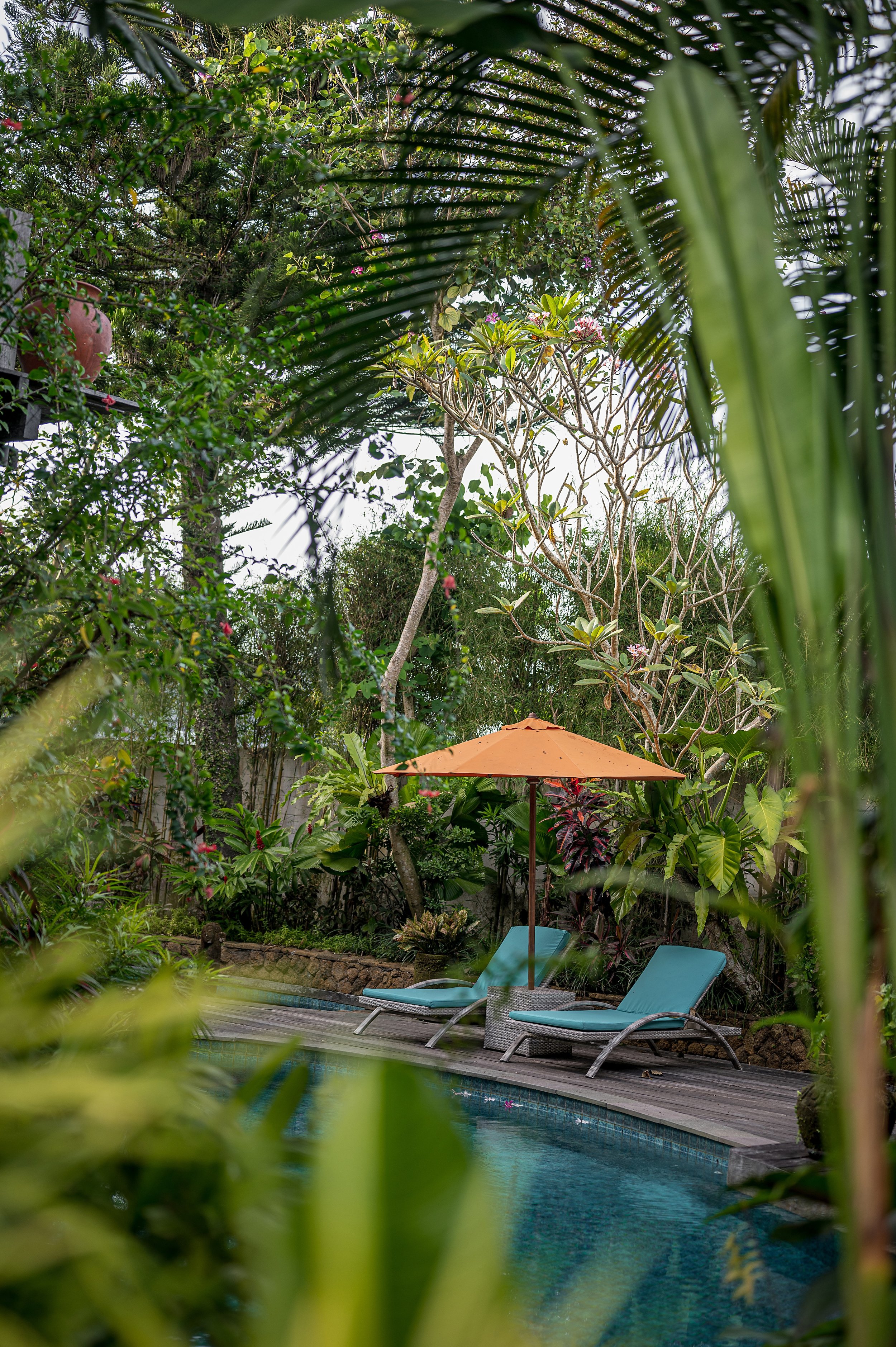A backyard scene with a swimming pool surrounded by lush green plants, trees, and bushes. There are two lounge chairs with teal cushions and a large orange patio umbrella. The image is framed by leaves in the foreground.