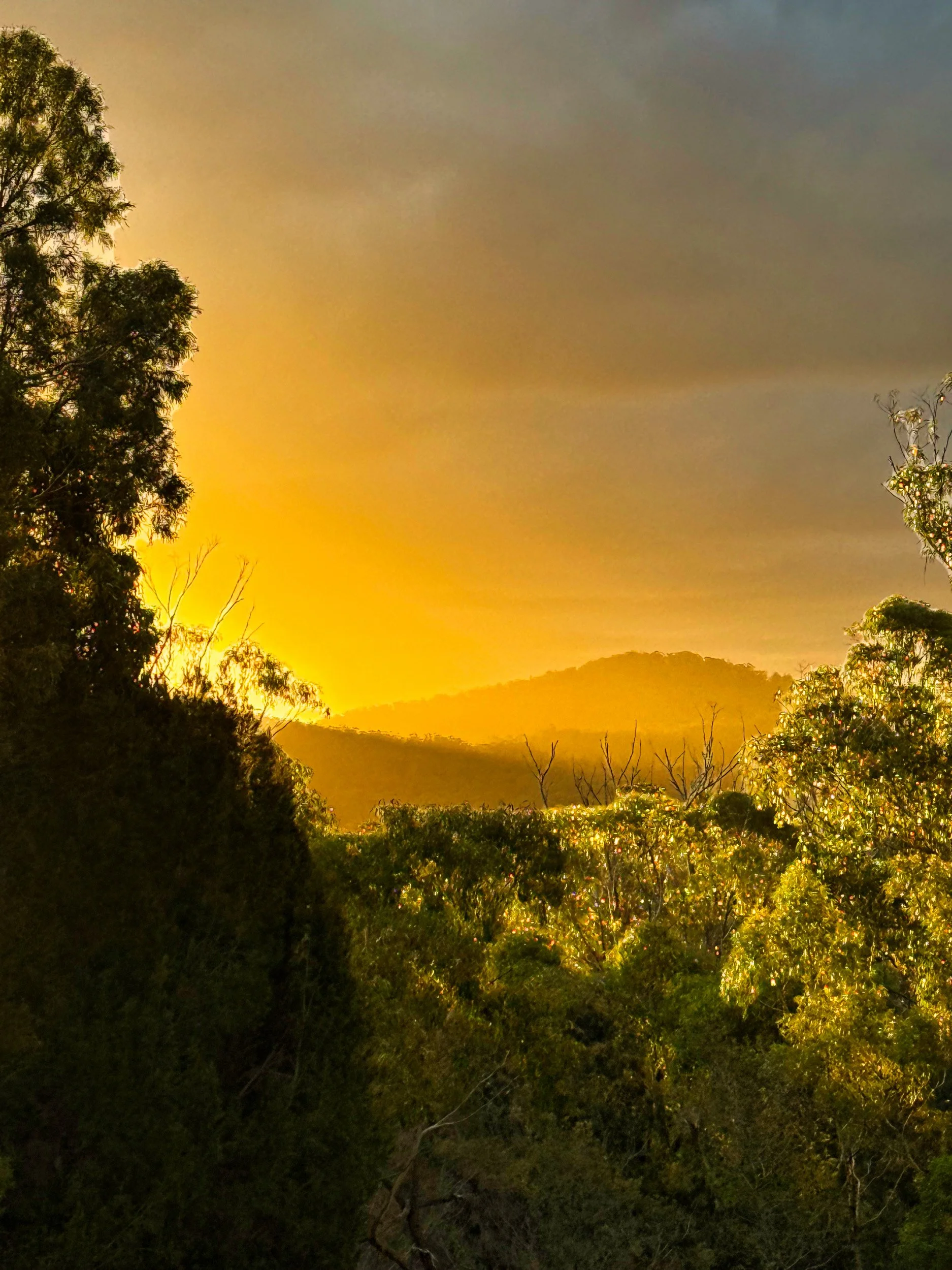 Sunset.JPG