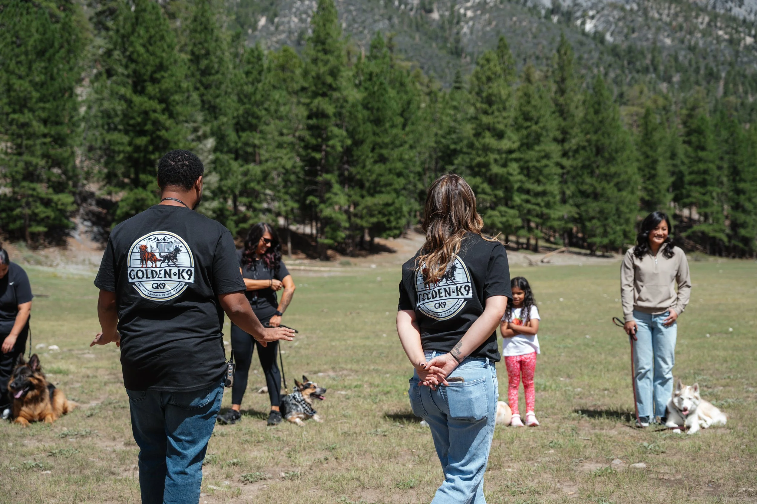 Group of people, including dogs, gathered outdoors in a grassy area with tall trees and mountains in the background, participating in a dog training or socialization event.