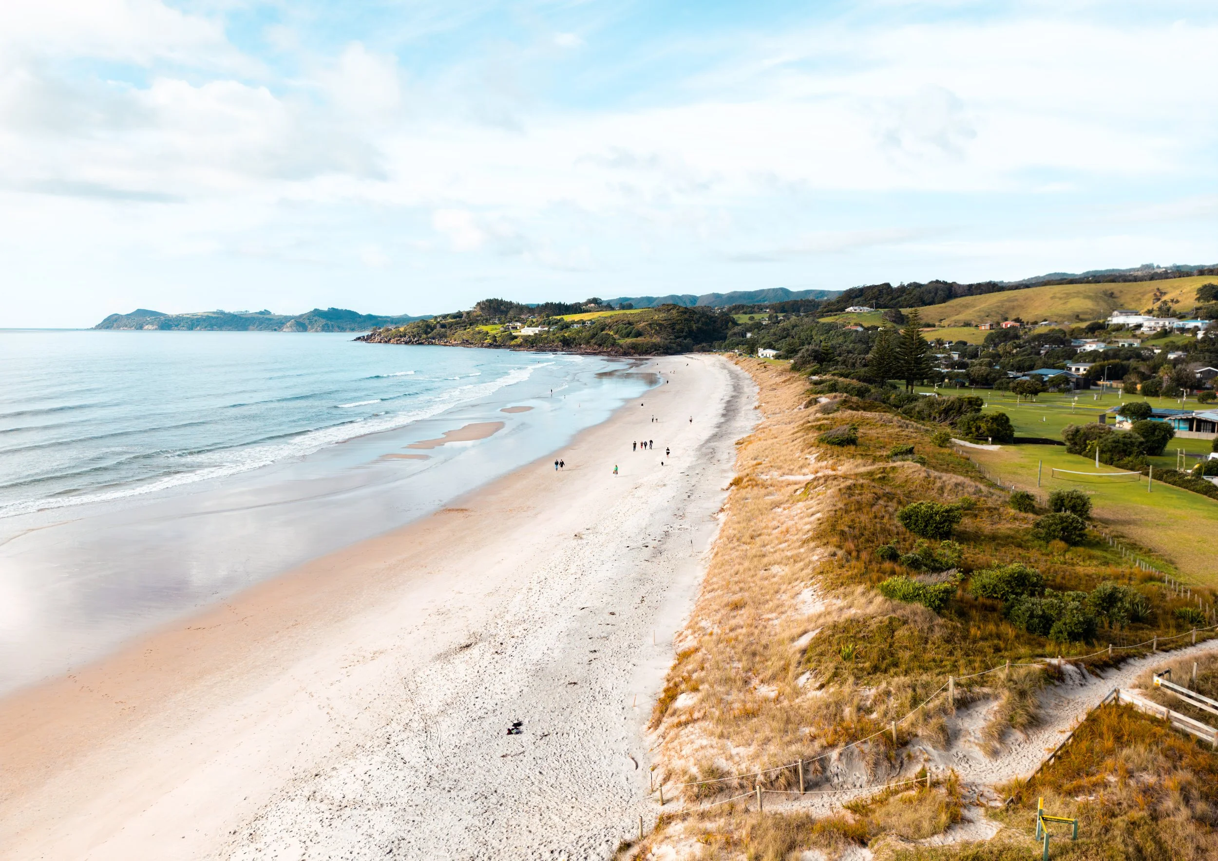 Flat white to go, Waipu Cove