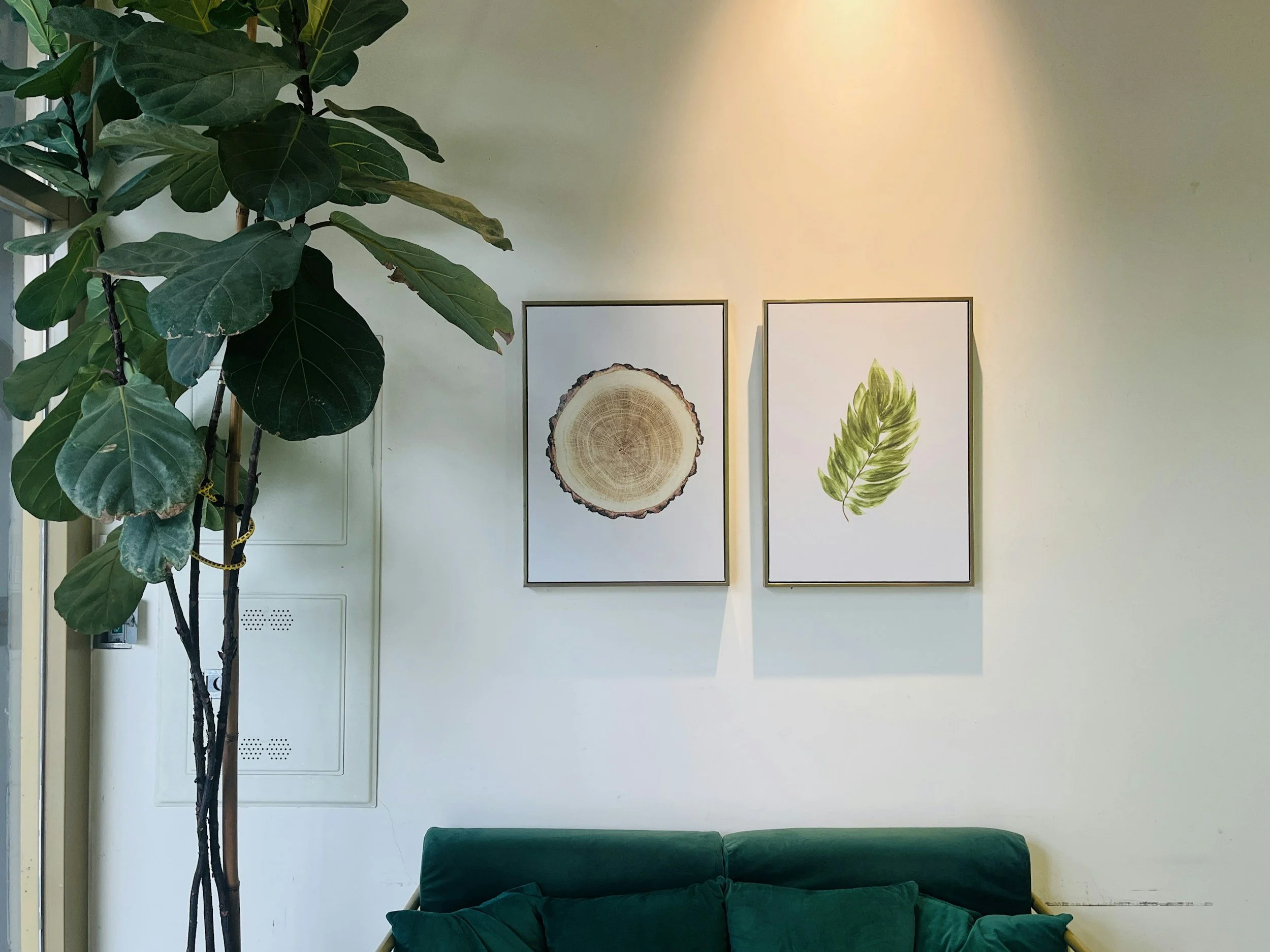 An interior room with green leafy plant on the left and artwork of a wood slice and green leaf on the wall. A green couch with a green pillow is at the bottom.