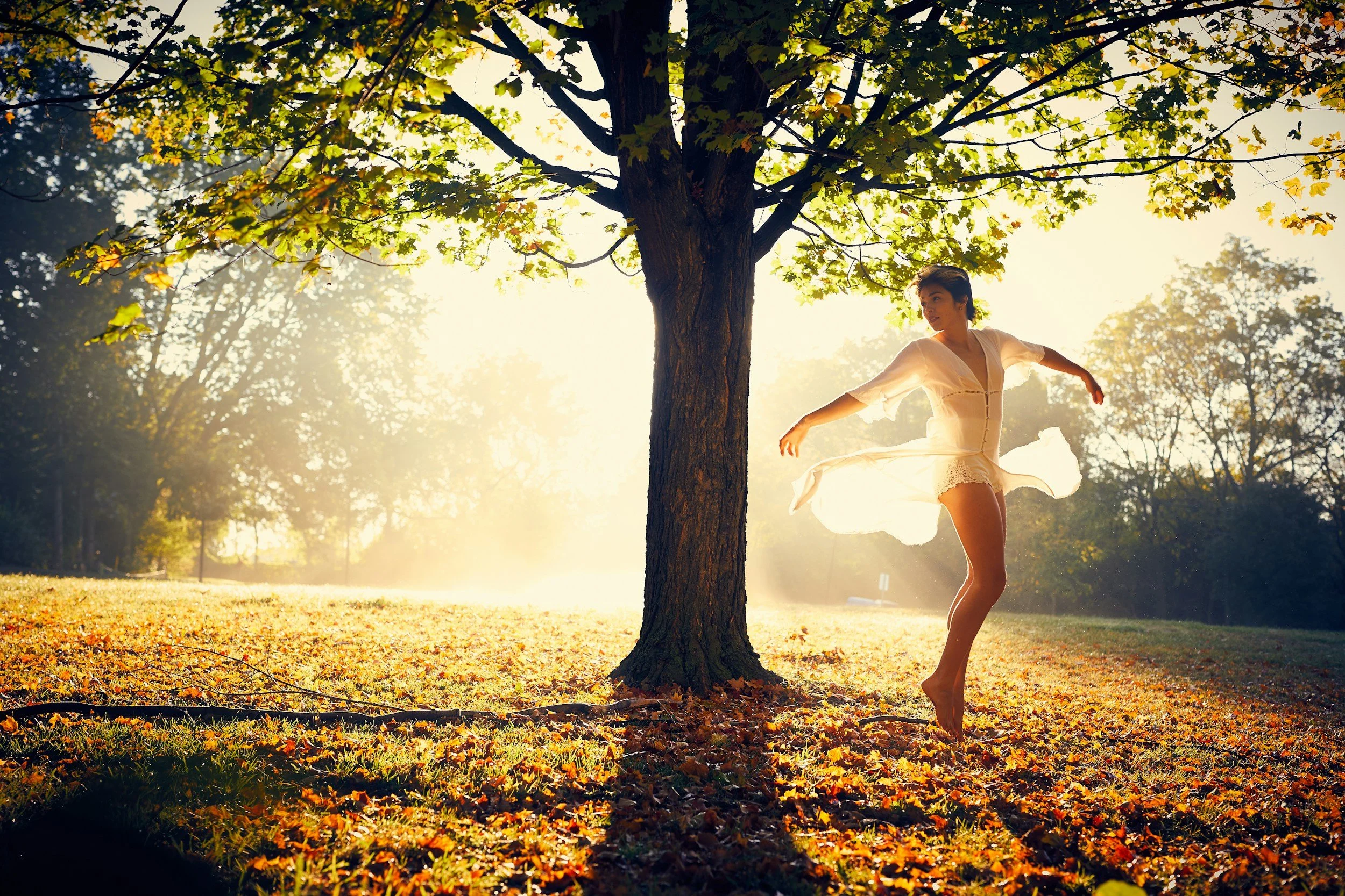 A woman in a white dress dances outdoors under a large tree during autumn, with golden sunlight filtering through the leaves.