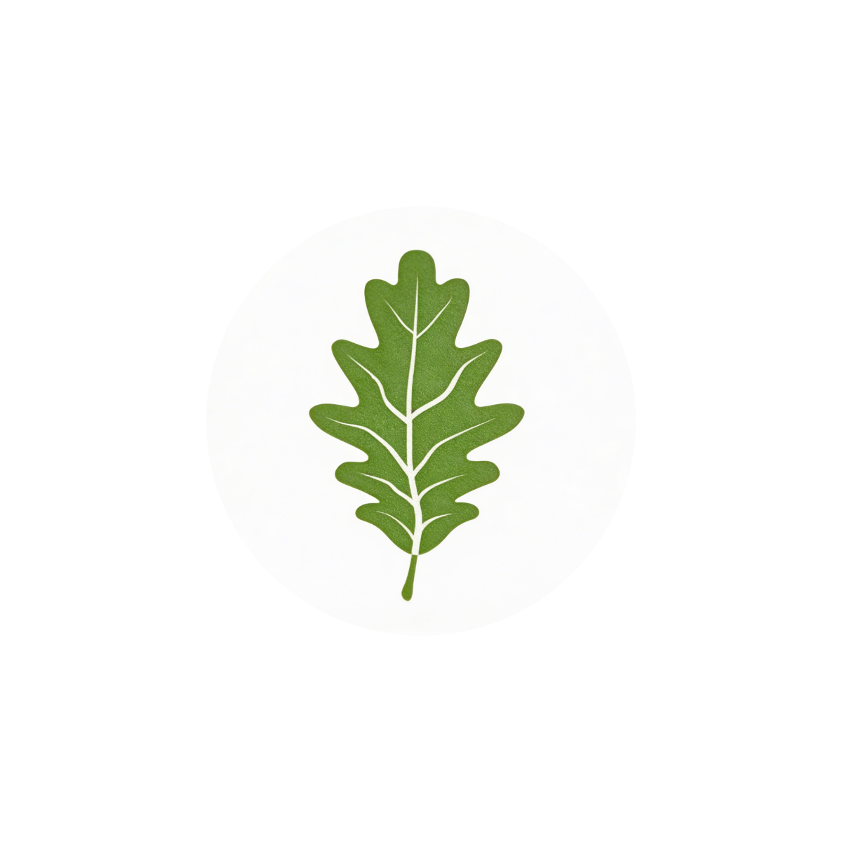 Green oak leaf with white veins on a white circular background