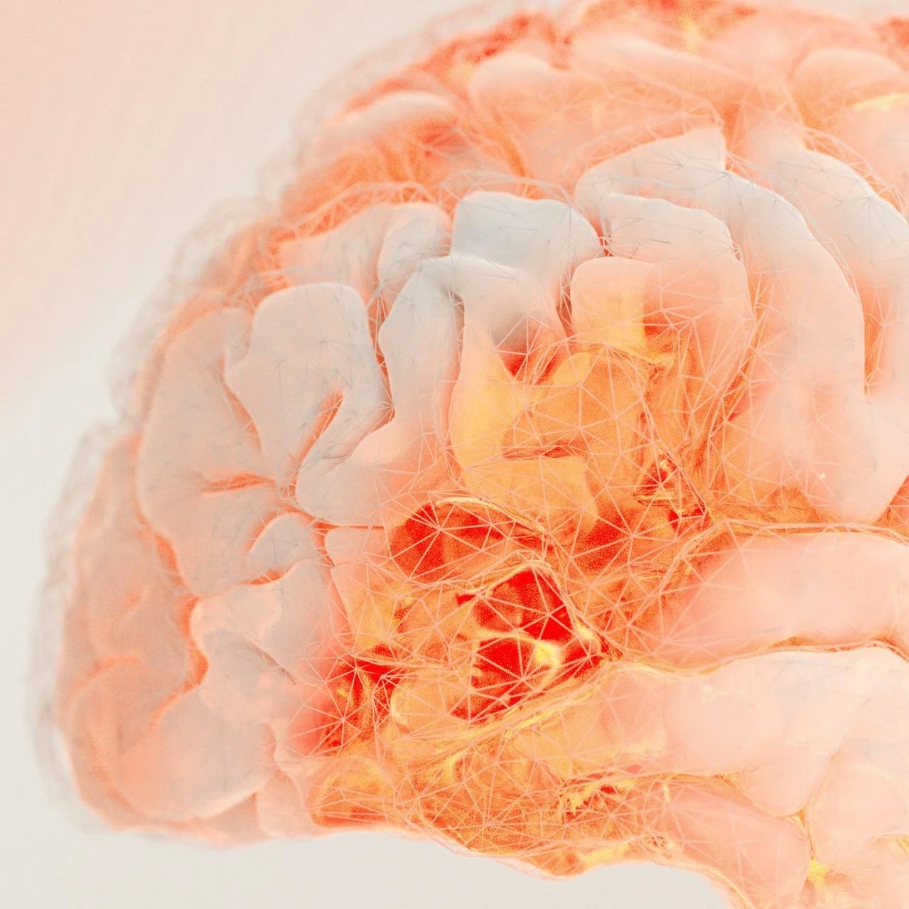 brain with an orange colored hue