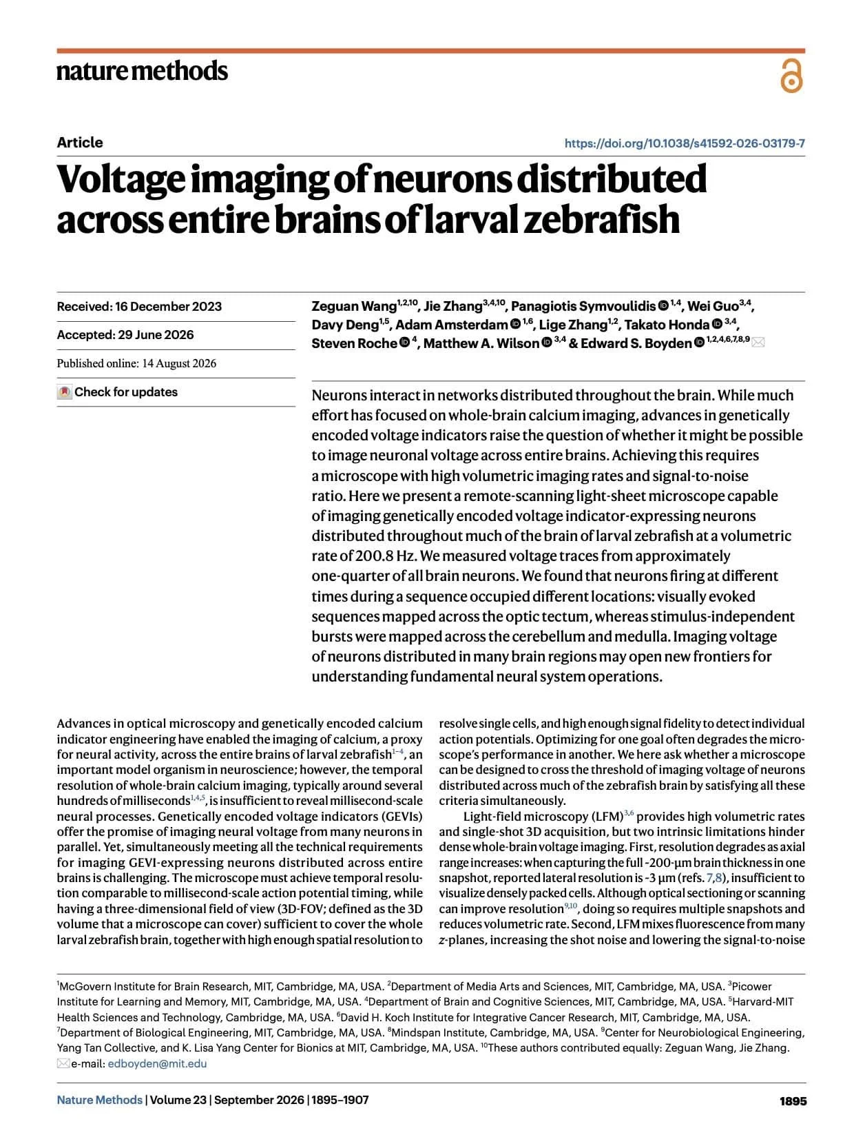 Voltage imaging of neurons distributed across entire brains of larval zebrafish