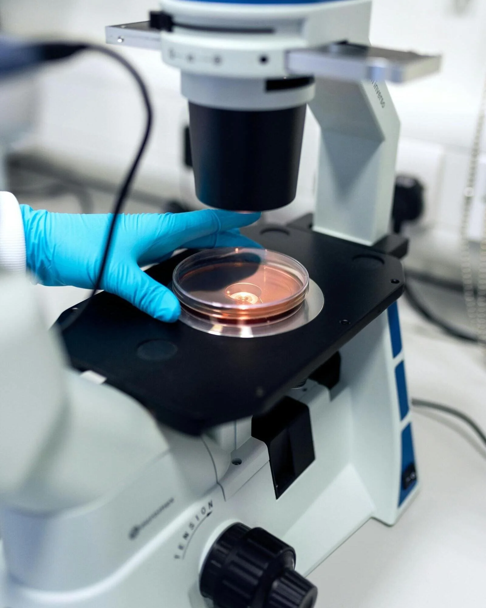 hand adjusting slide on a microscope