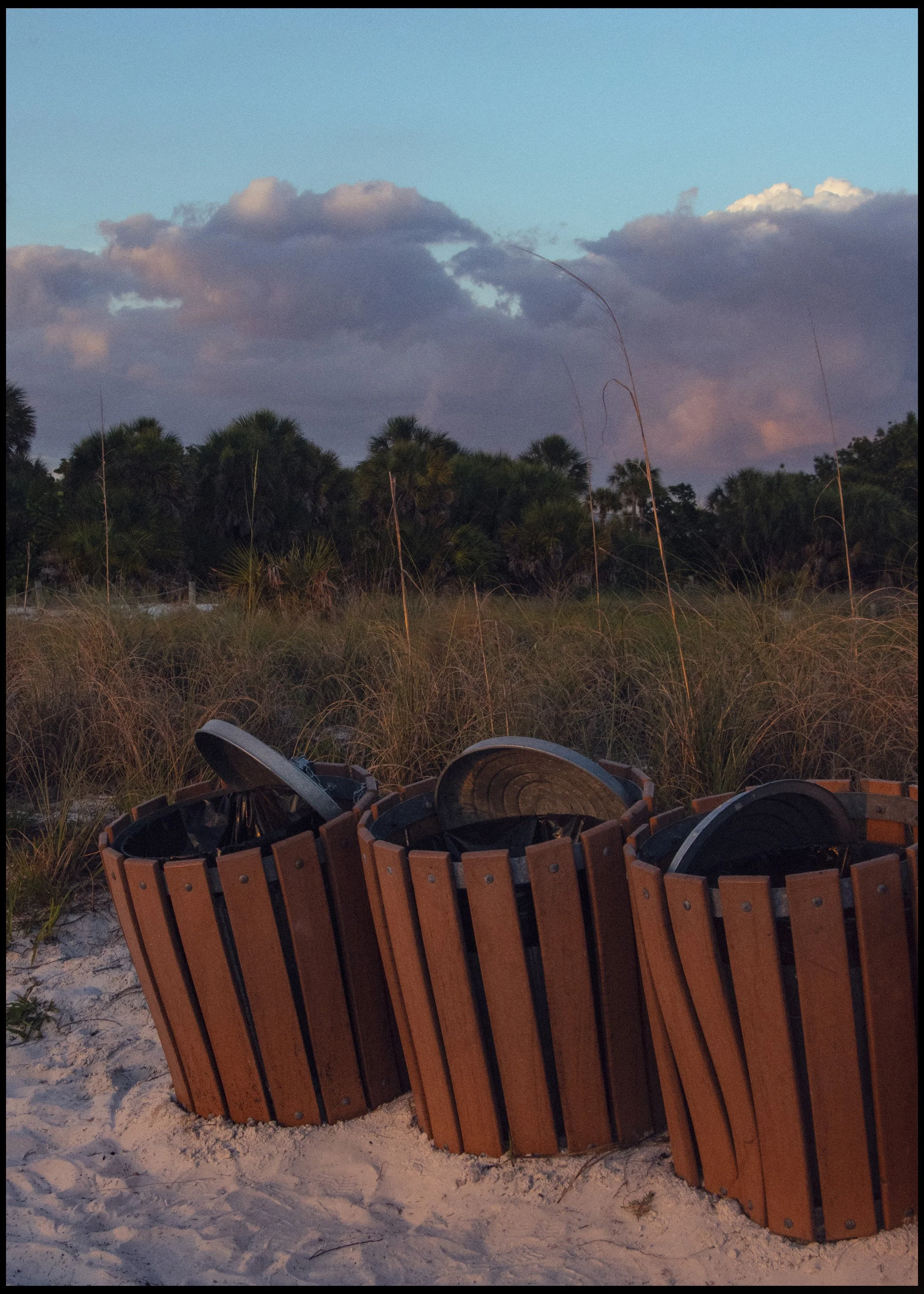 A circular wooden fire pit with black metal interior on sandy ground, surrounded by tall grass, with a wooded area and cloudy sky in the background.
