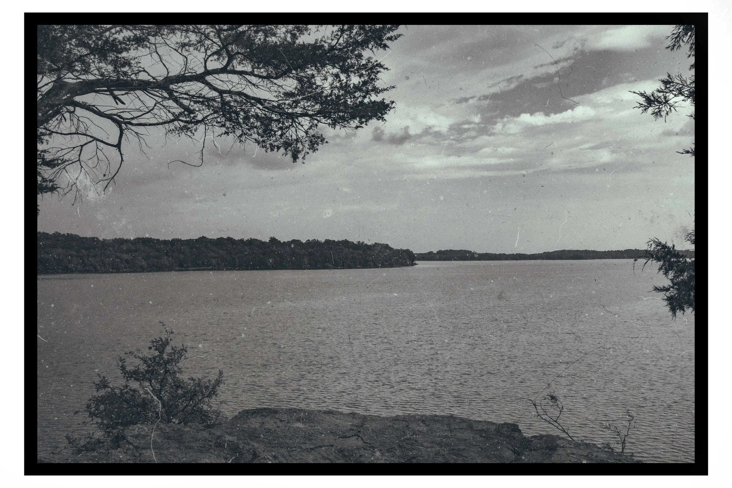 A black and white photo of a lake with trees along the shoreline, overcast sky, and branches in the foreground.