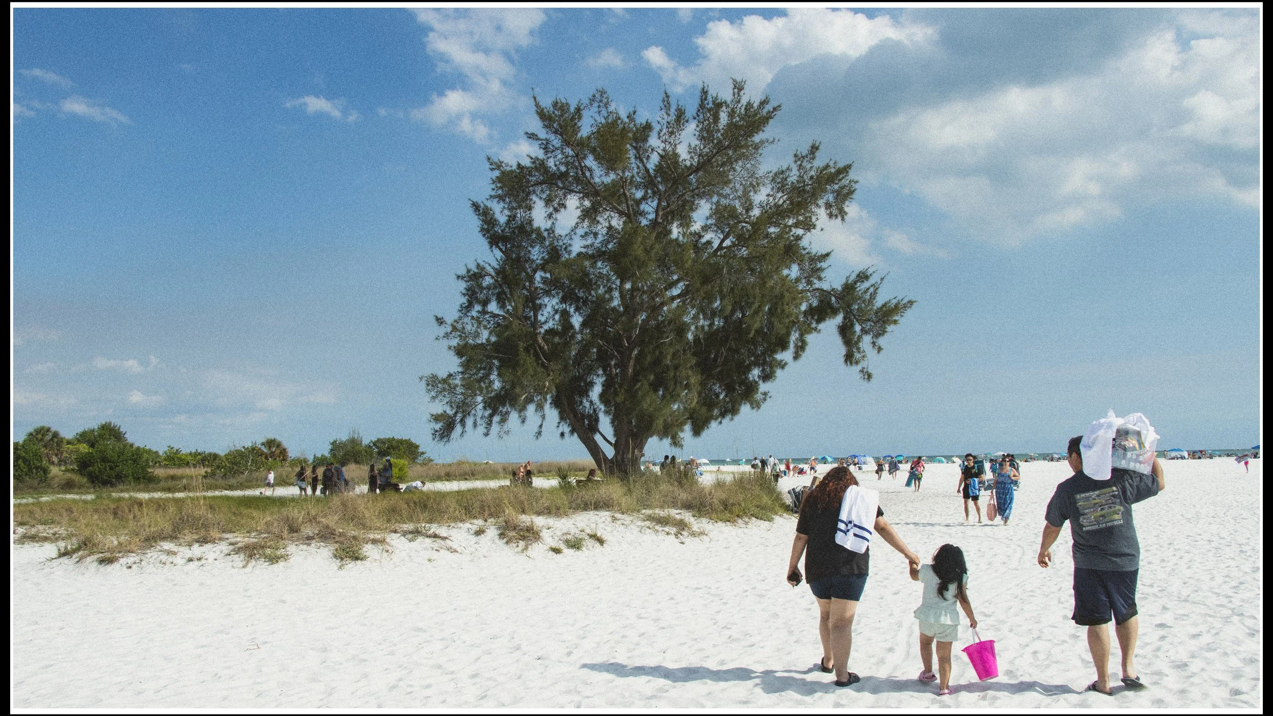 People walking on a sandy beach with a large tree and a blue sky with clouds in the background.