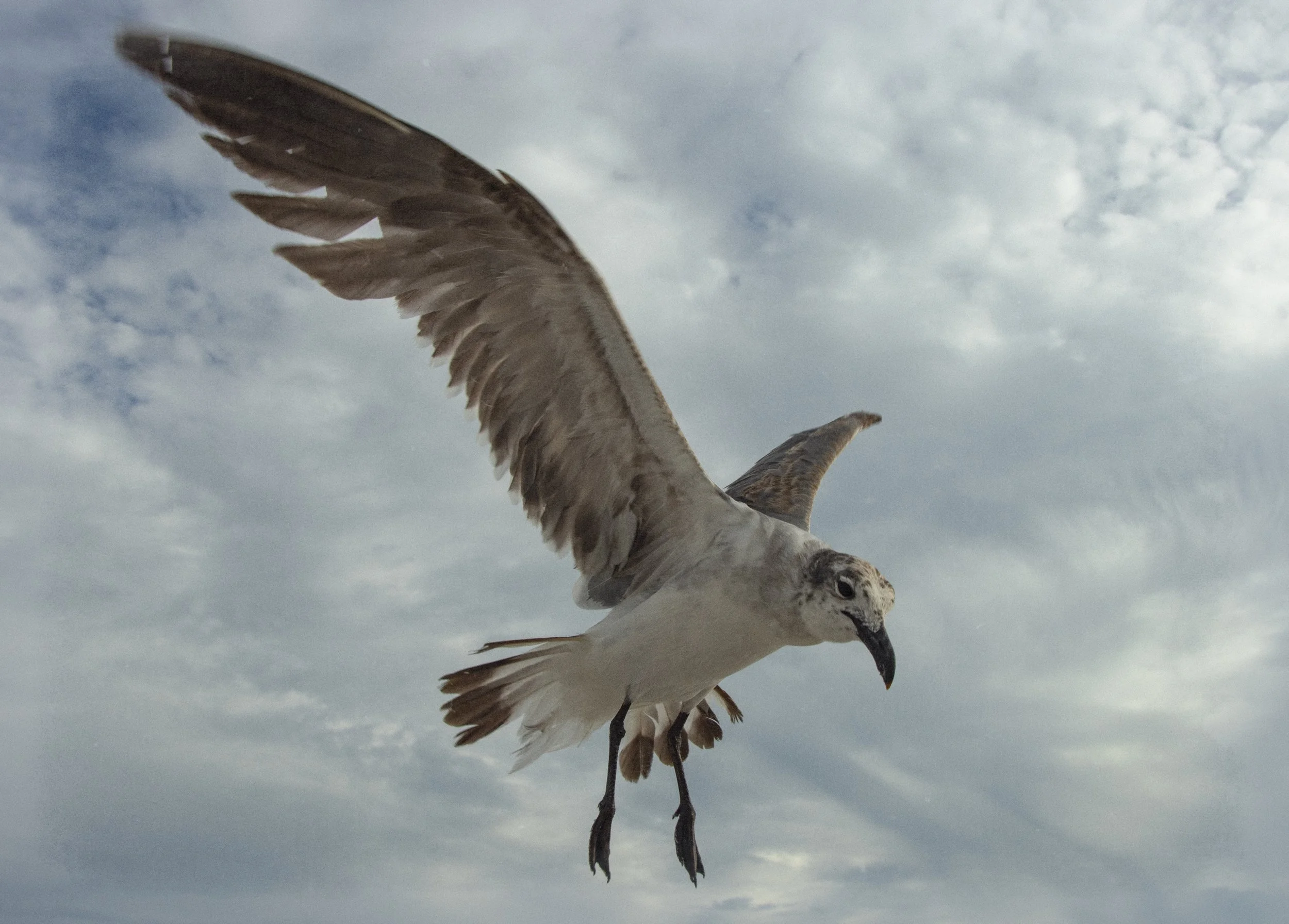2026YAP_Clearwater-Florida_YLeiva-29.jpg