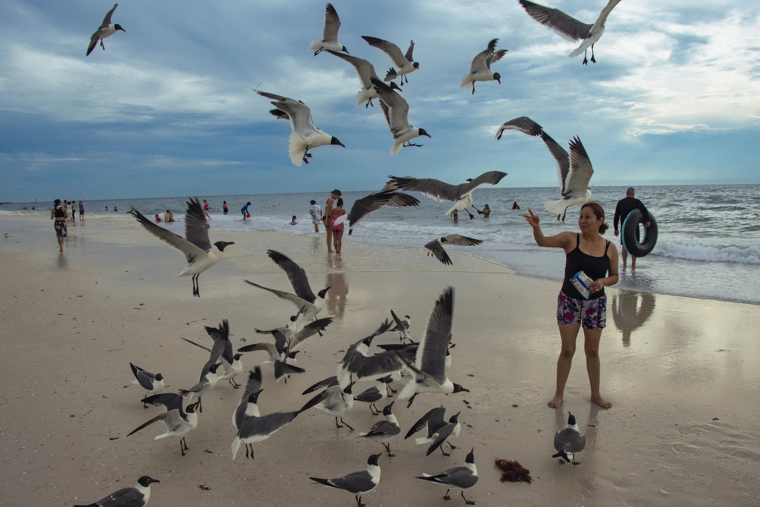 Seagulls flying and gathering on a beach with people in the background, overcast sky, ocean view, woman smiling and pointing, others in swimwear and a person holding a black tube.